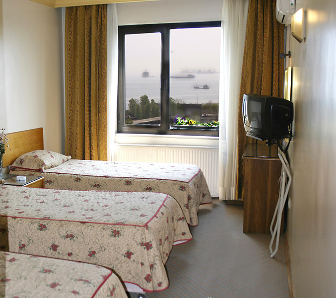 Grand Ant Hotel image 3