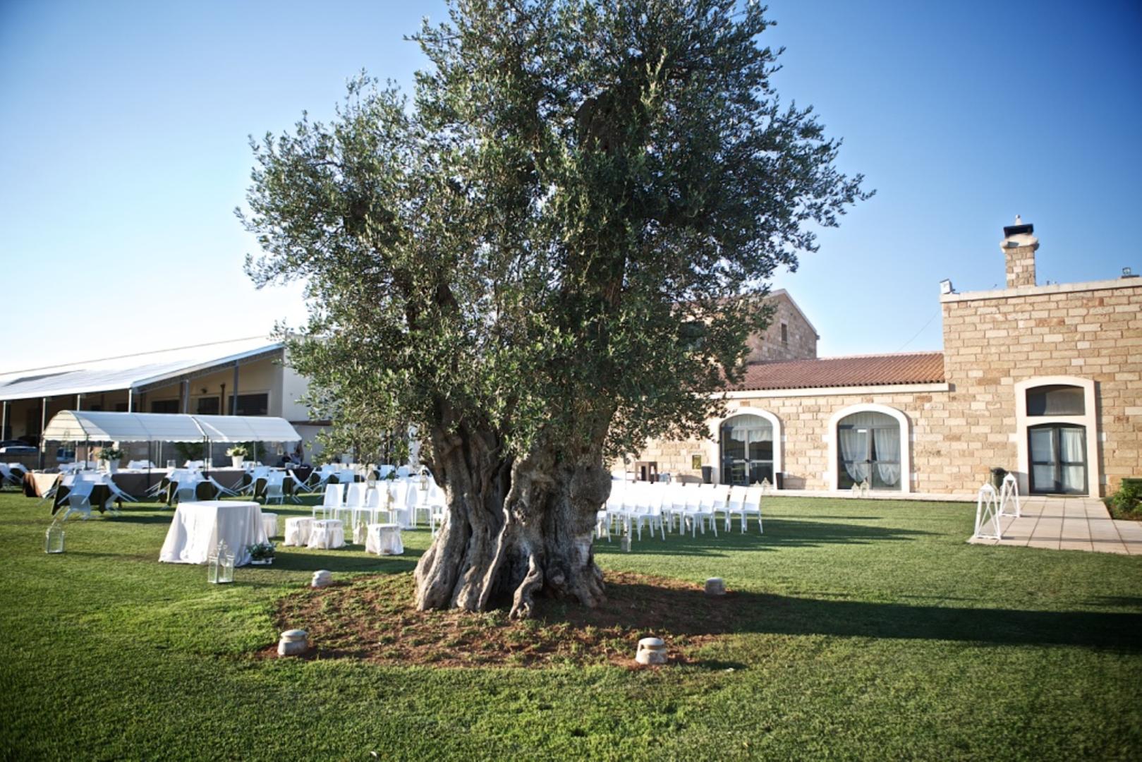 Masseria Stali foto 10