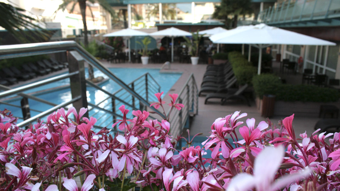 Hotel Kaktus Playa foto 8