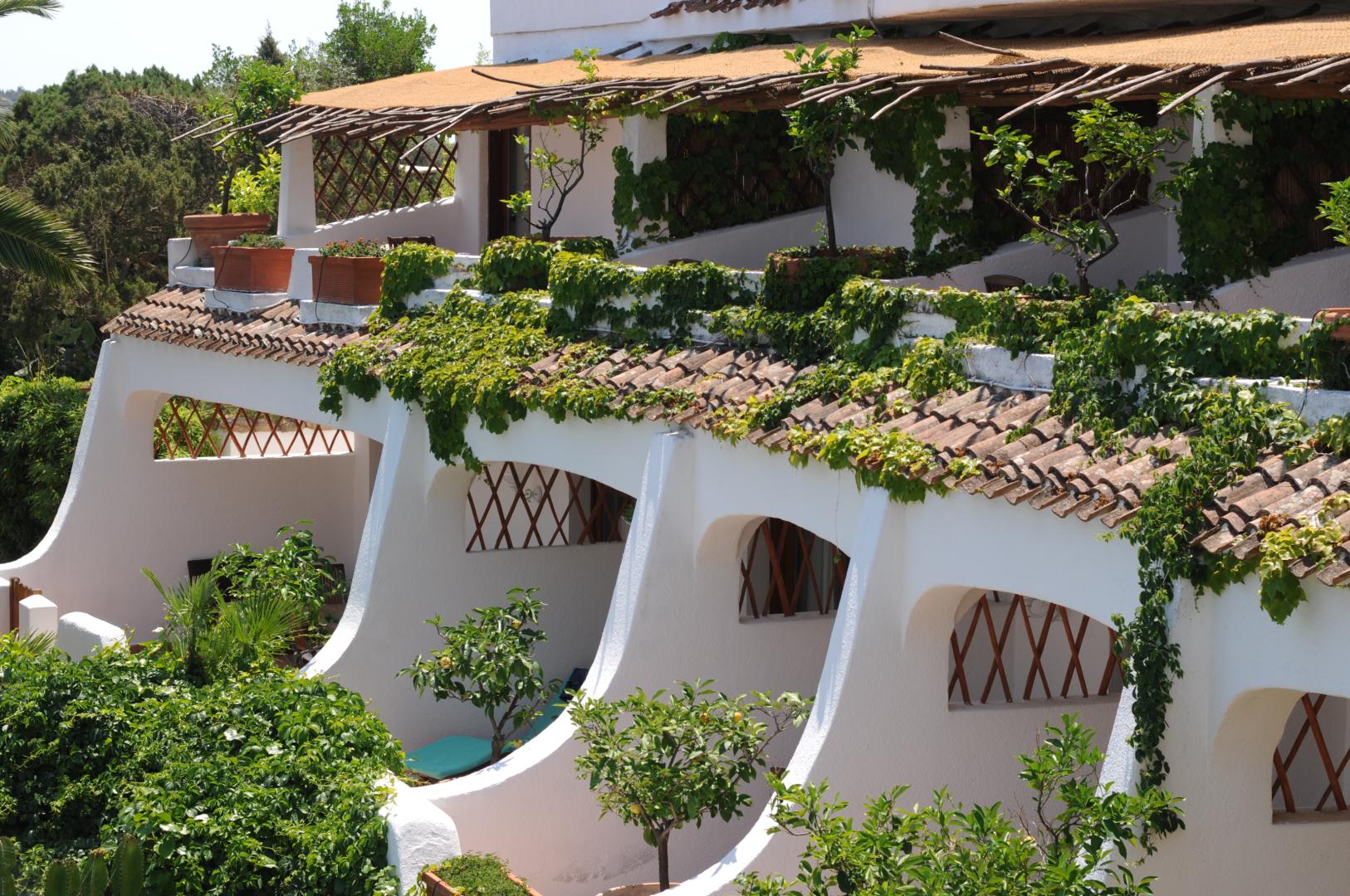 Tropische tuin met palmbomen — Balocco