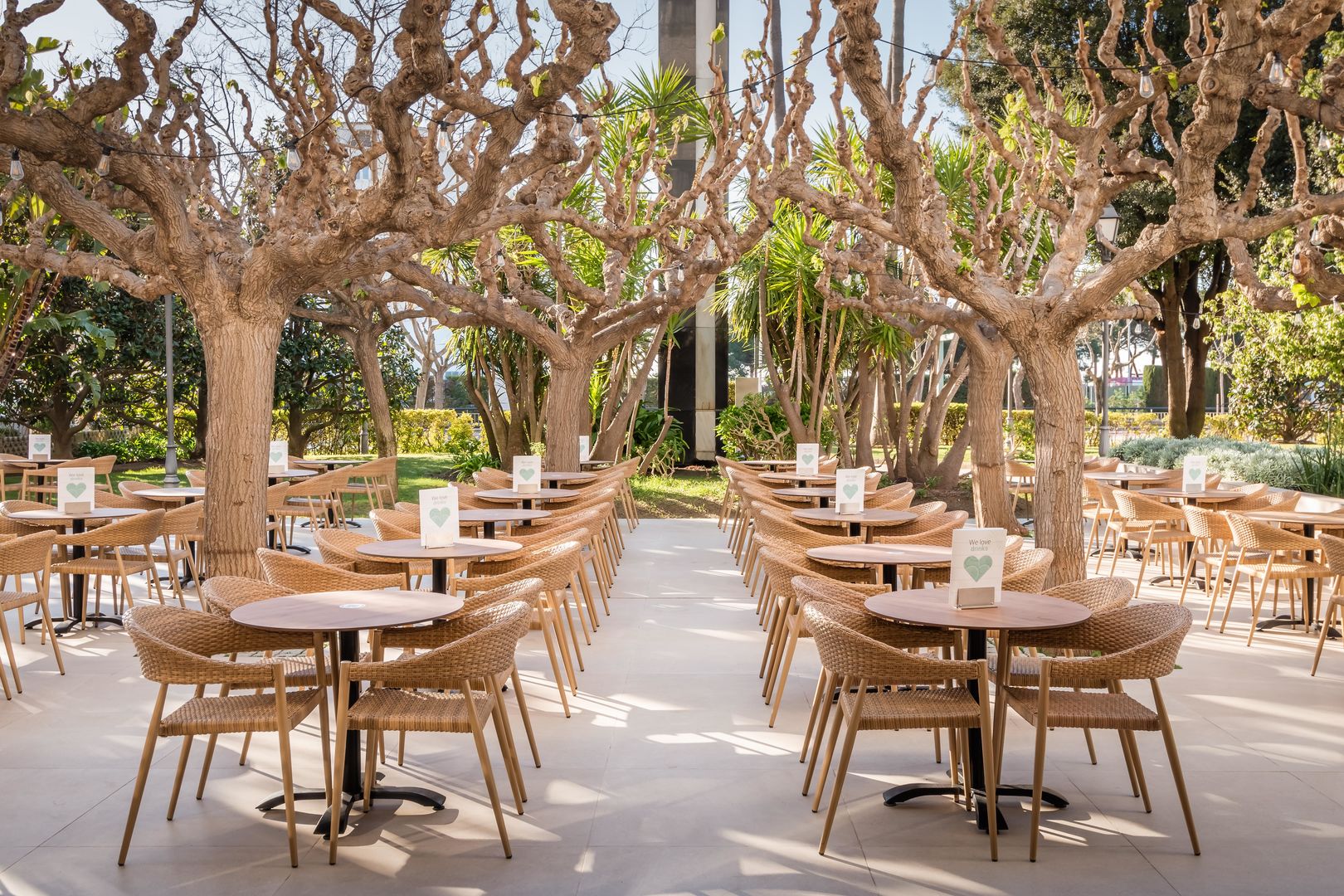 ALEGRIA Florida image 2