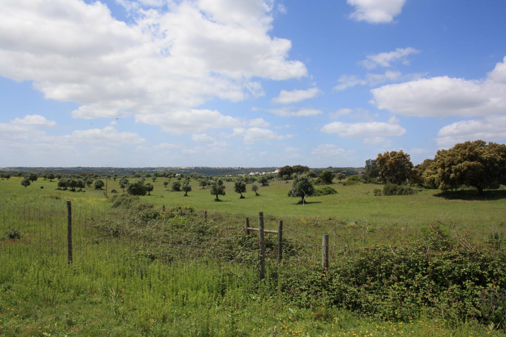 Flag Hotel Santarem foto 7