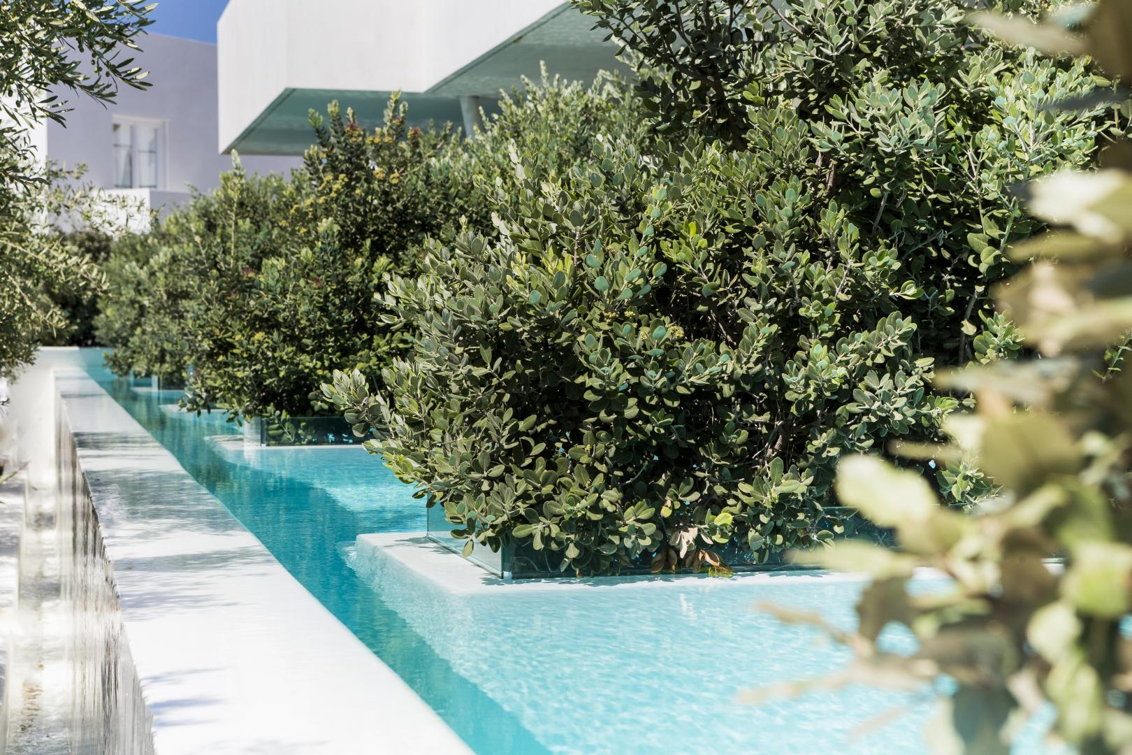 Mykonos Dove Beach Hotel foto 11