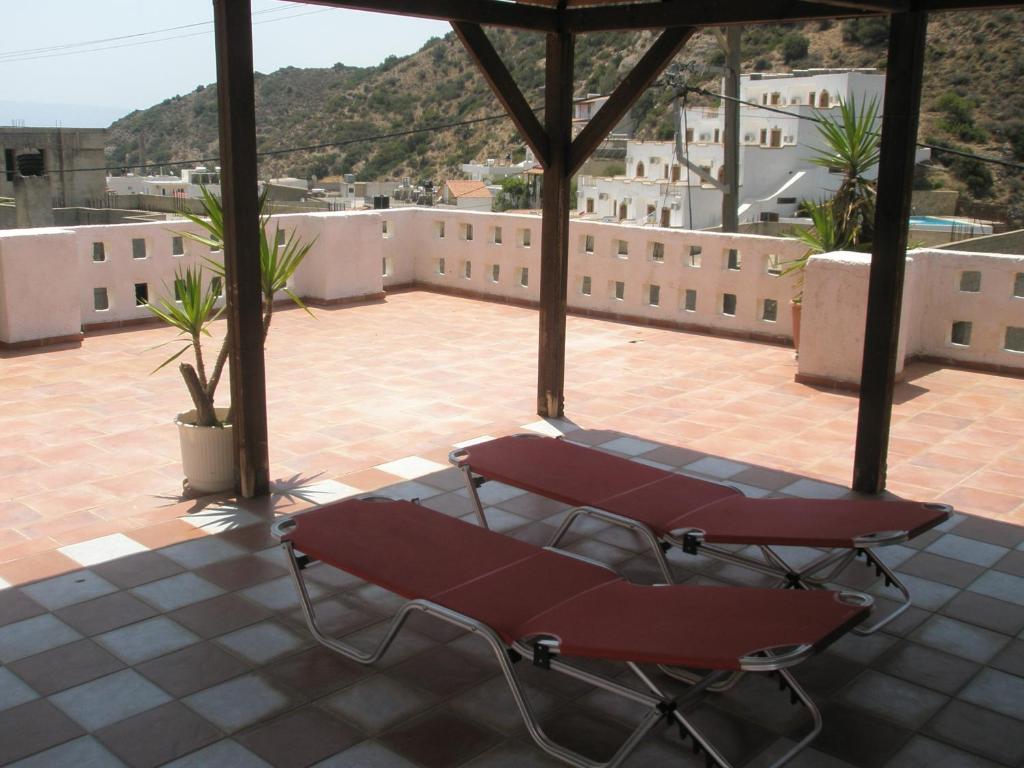 Ostria foto 6