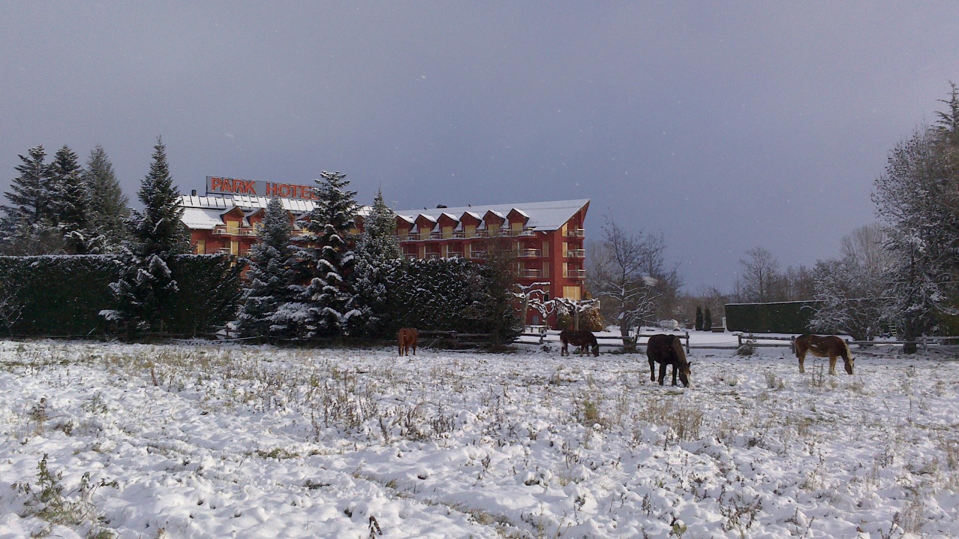Park-Hotel Puigcerdà & Spa foto 26