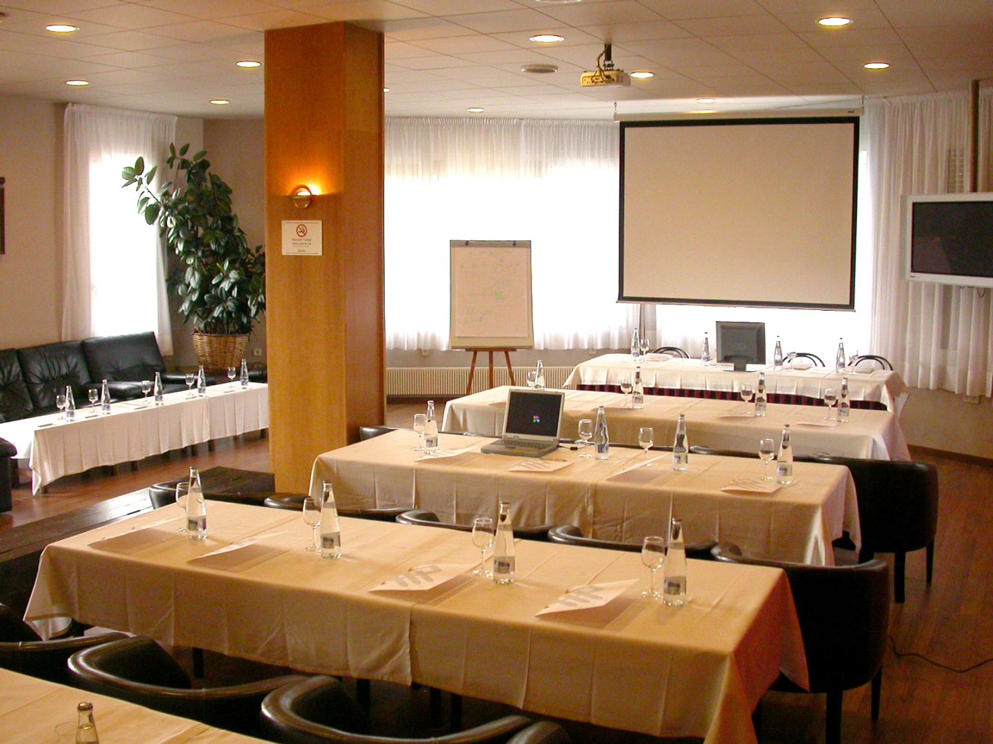 Park-Hotel Puigcerdà & Spa foto 17