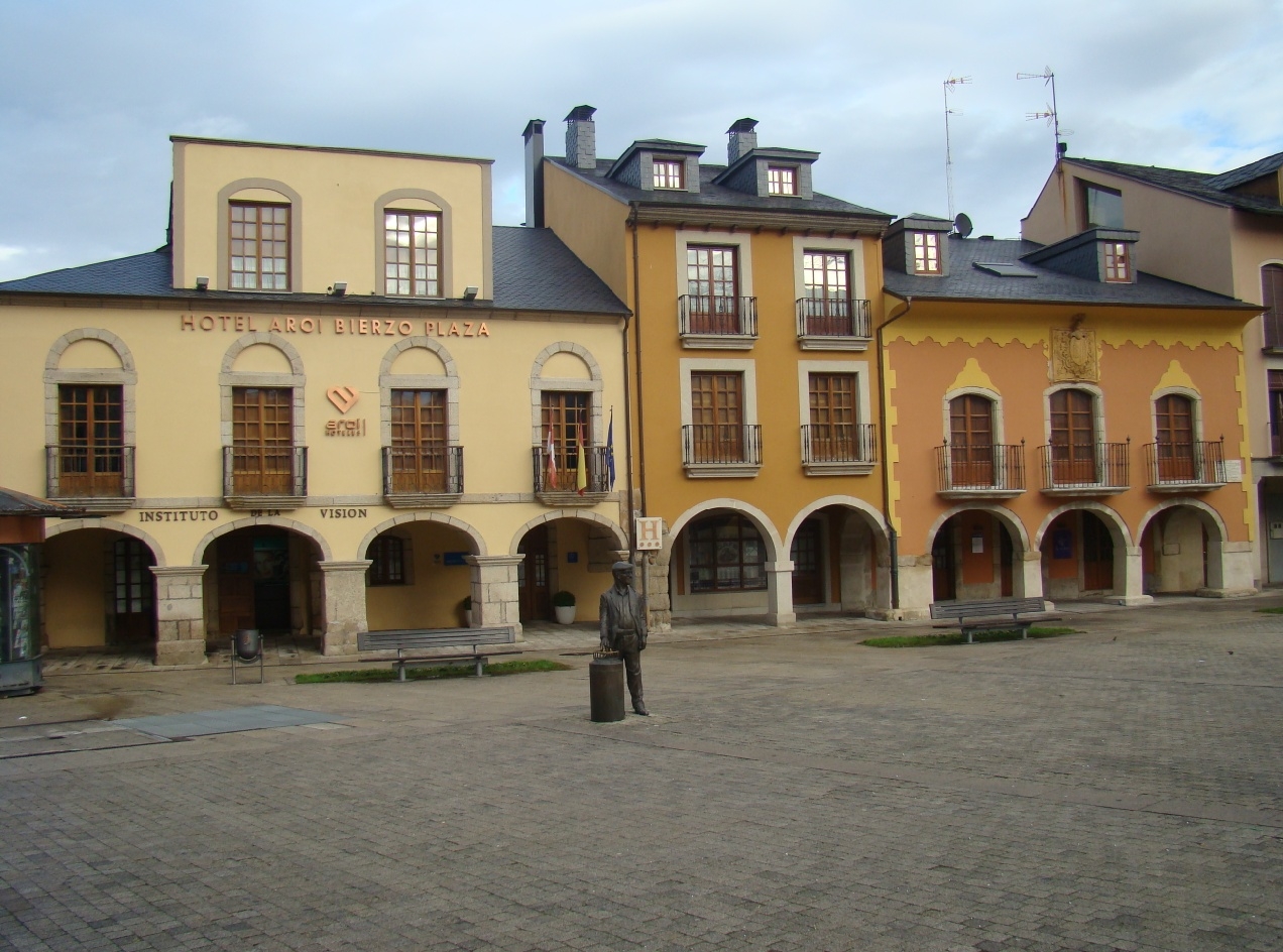Bierzo Plaza foto 10