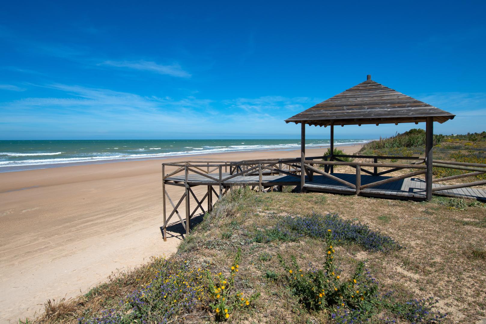 Barceló Costa Ballena Golf & Spa foto 27
