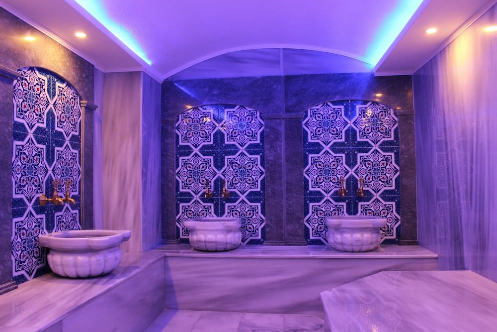 Milano Hotel & Spa Sultanahmet foto 10