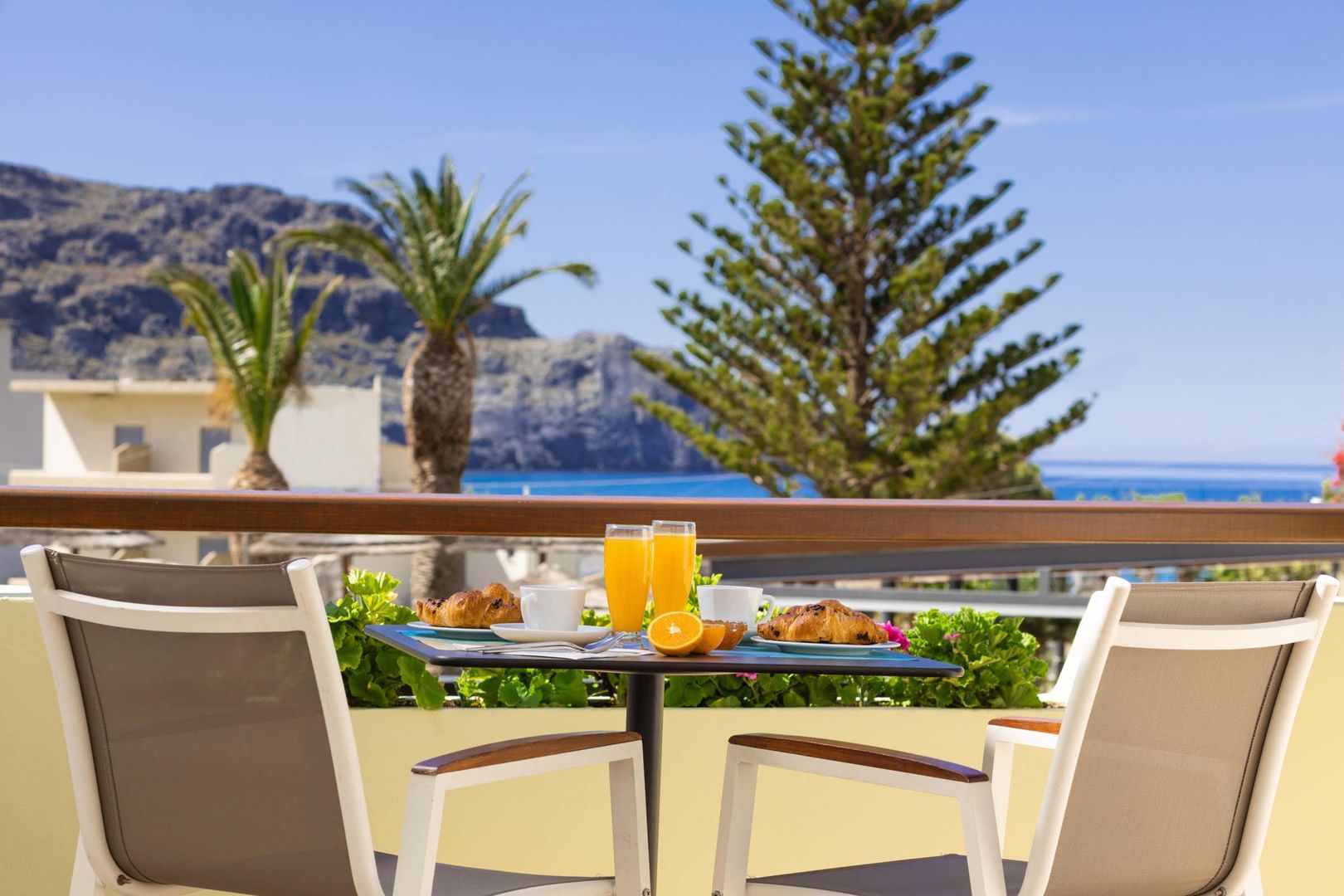 Alianthos Estate Resort image 3