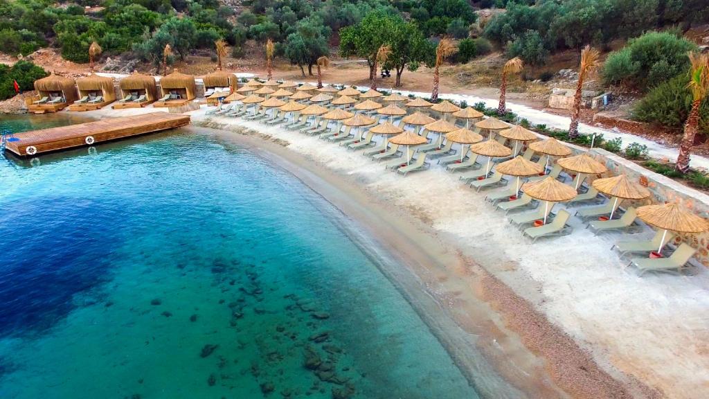 Bodrum Holiday Resort & Spa foto 15