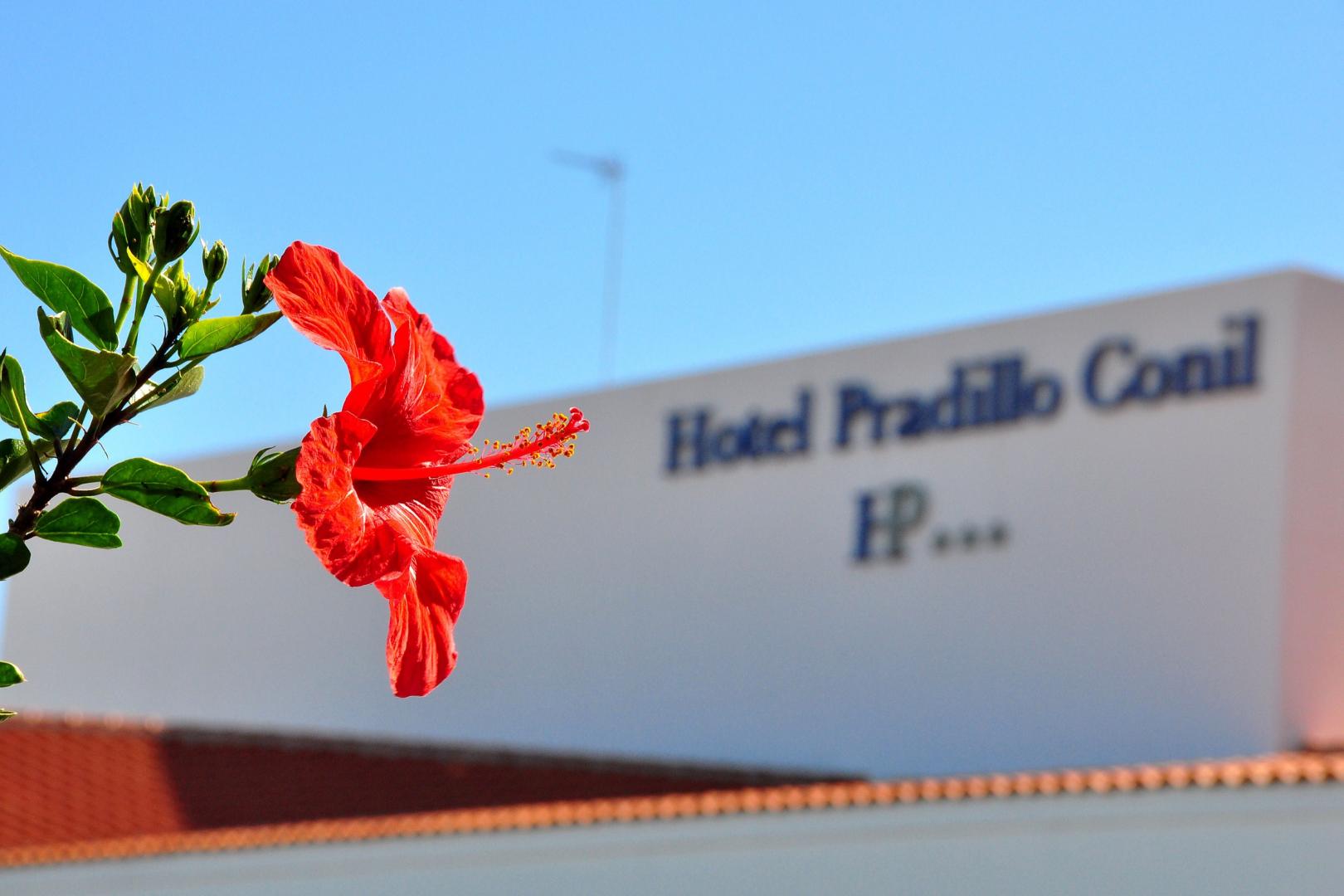 Hotel Pradillo Conil foto 28