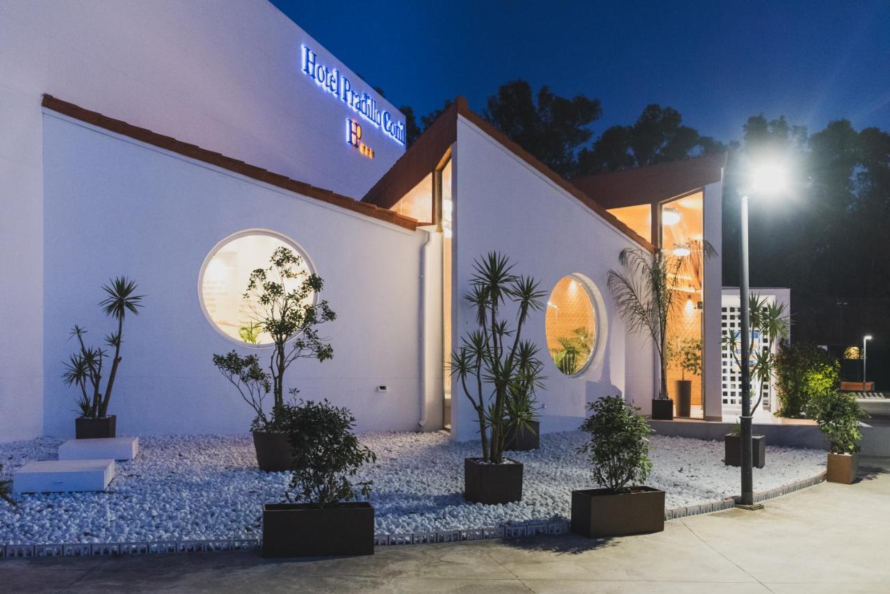 een wit gebouw met potplanten ervoor bij Hotel Pradillo Conil in Conil de la Frontera