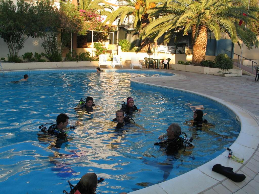 Zwembad omringd door palmbomen — Hotel Califfo