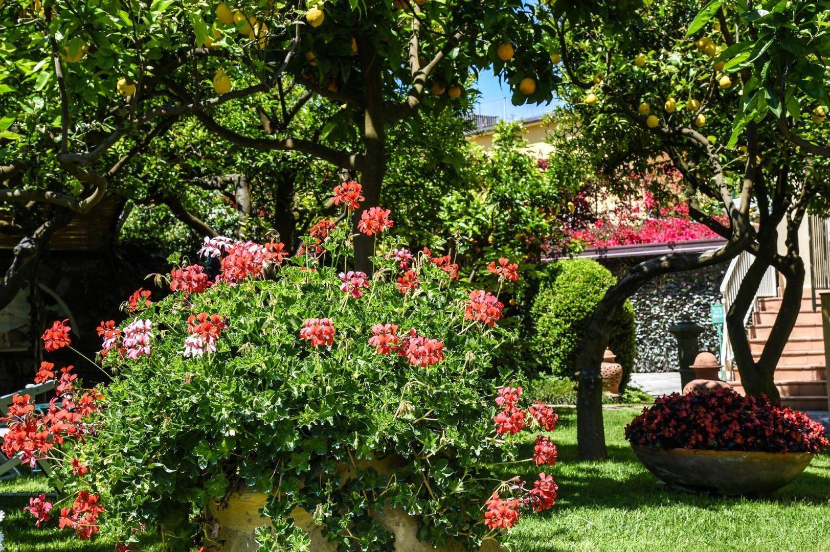 Hotel Antiche Mura foto 24