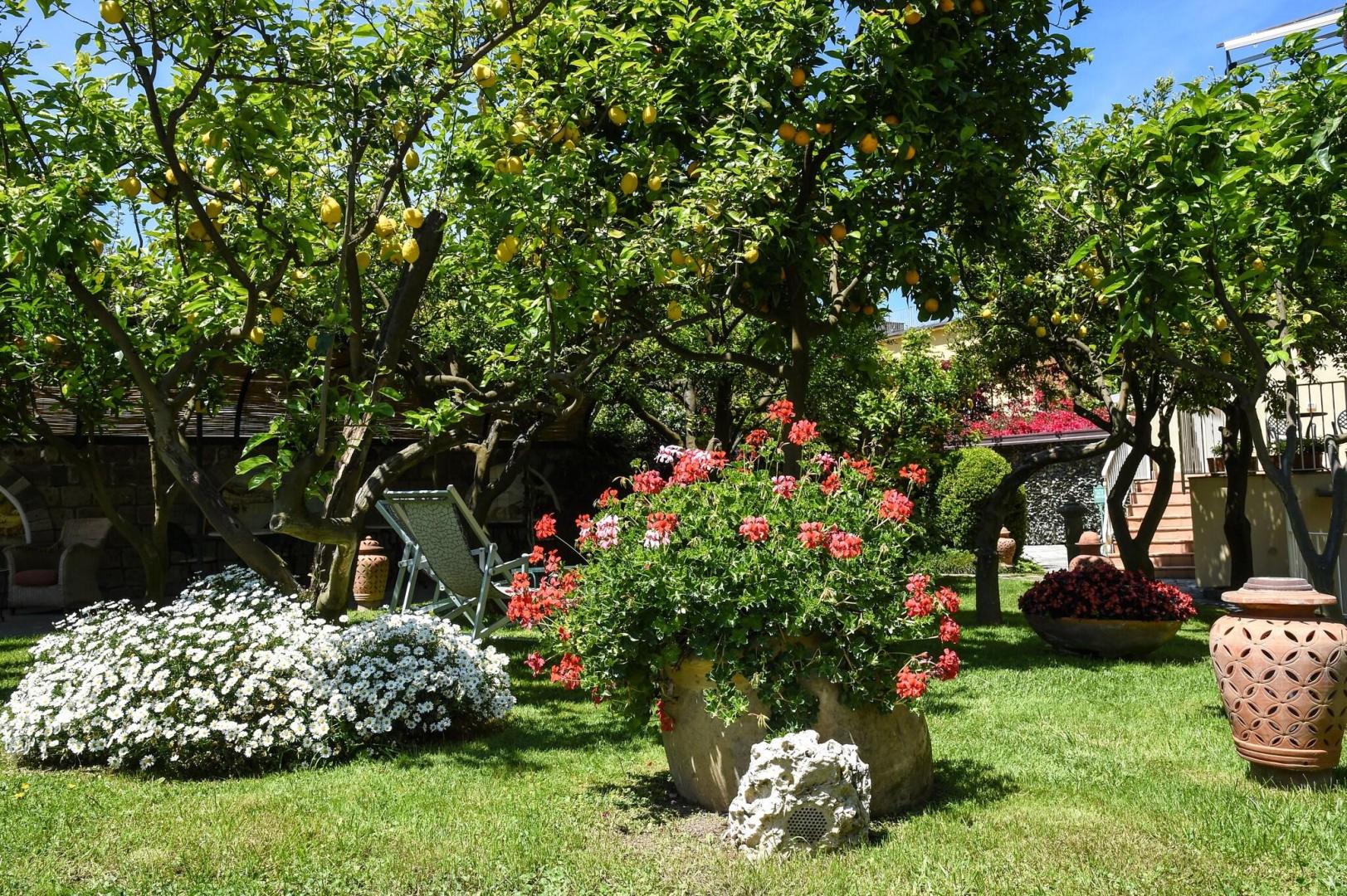 Hotel Antiche Mura foto 44