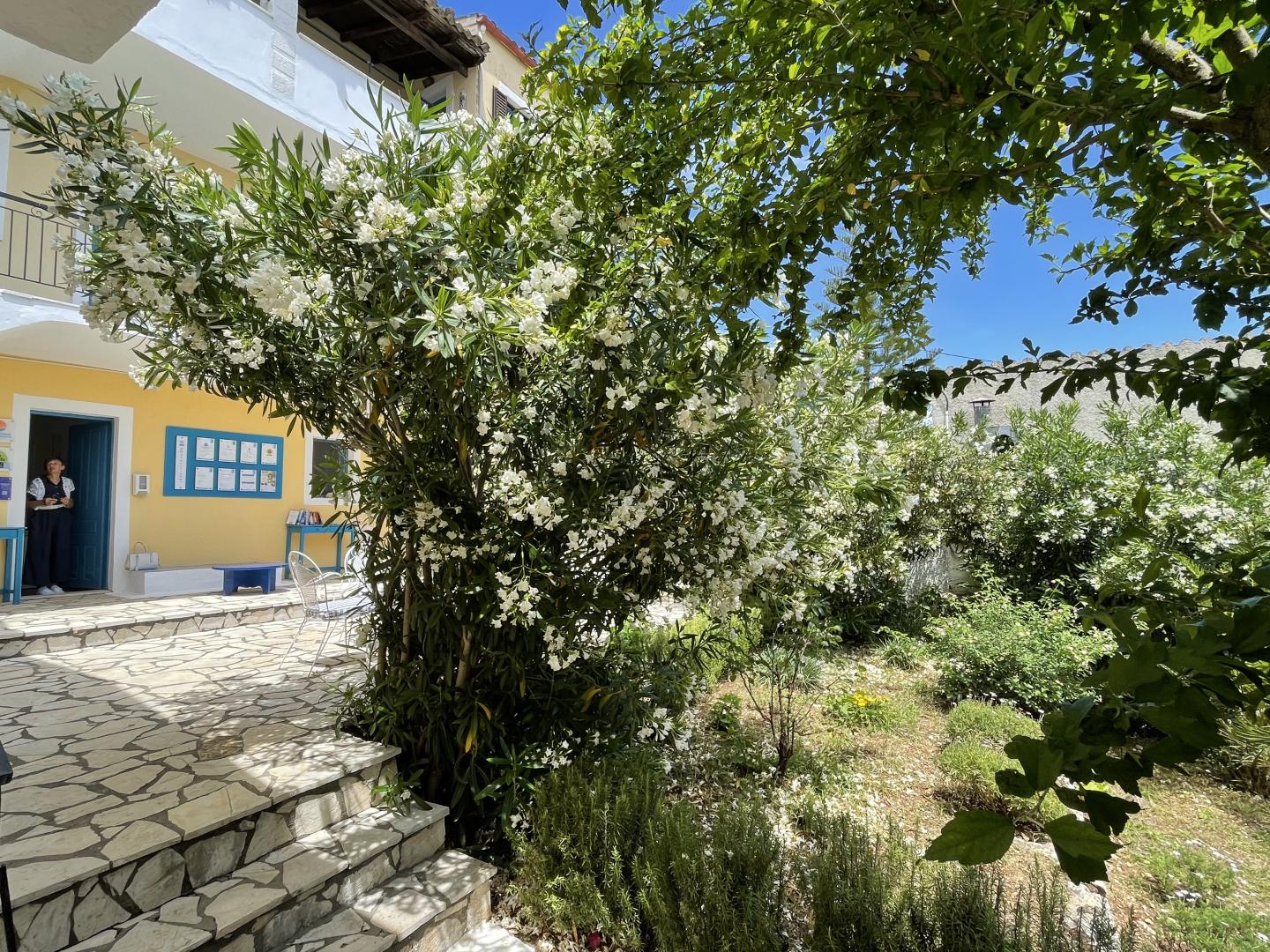 Sunflower Apartments & Studios foto 14