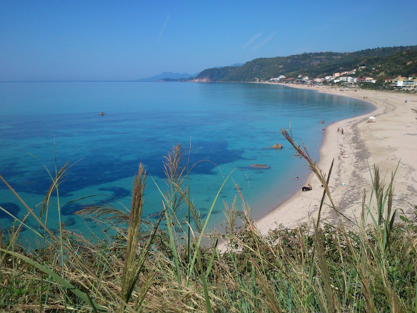 Palmina Mare image 3