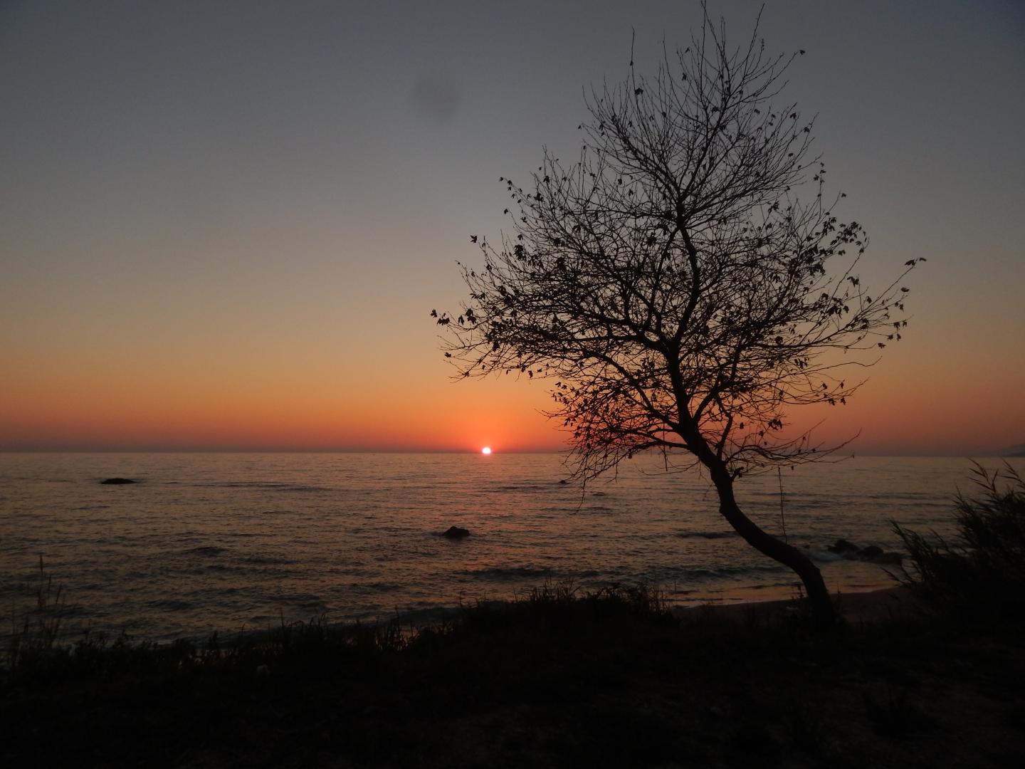 Palmina Mare foto 10