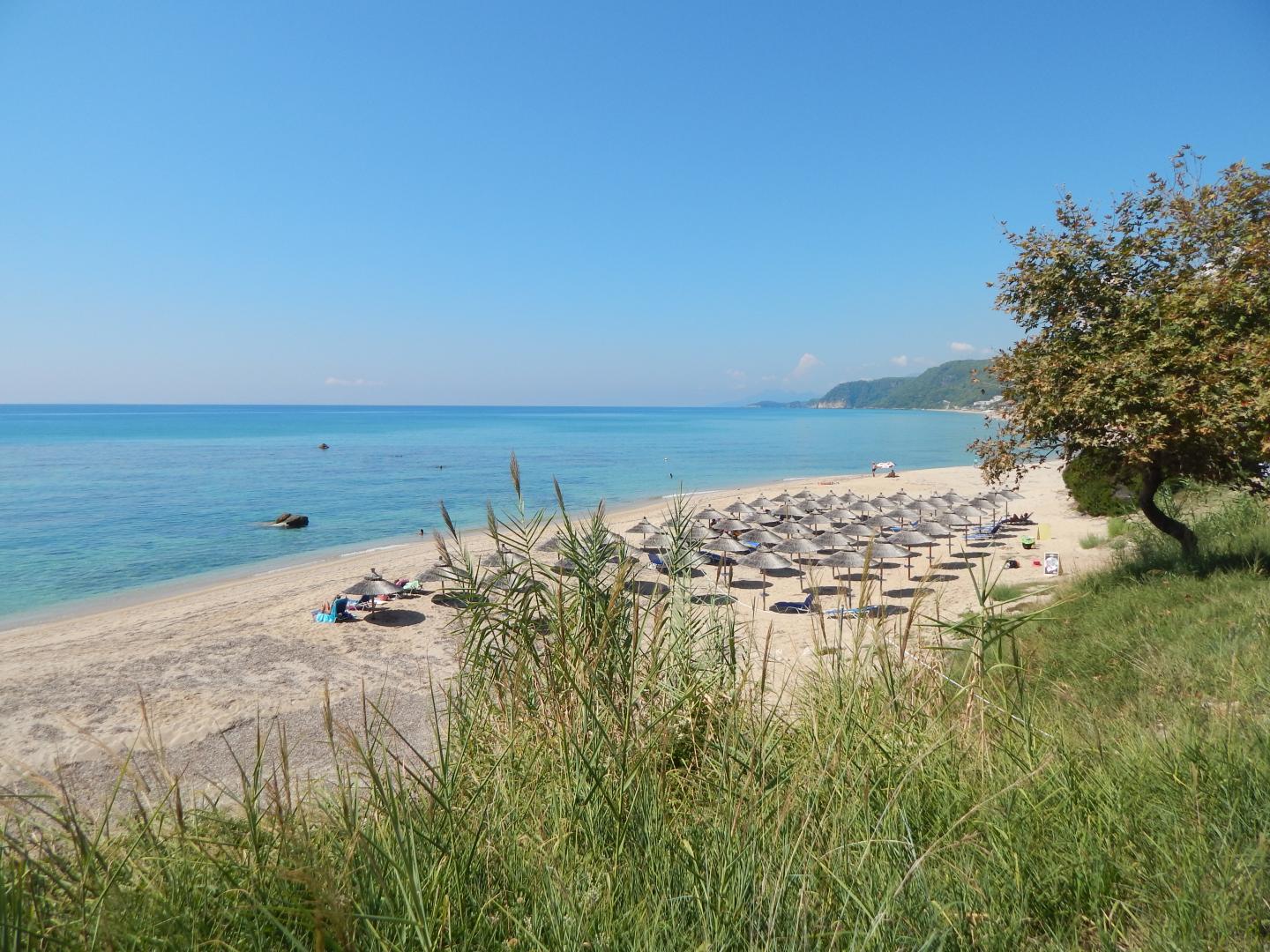 Palmina Mare foto 16