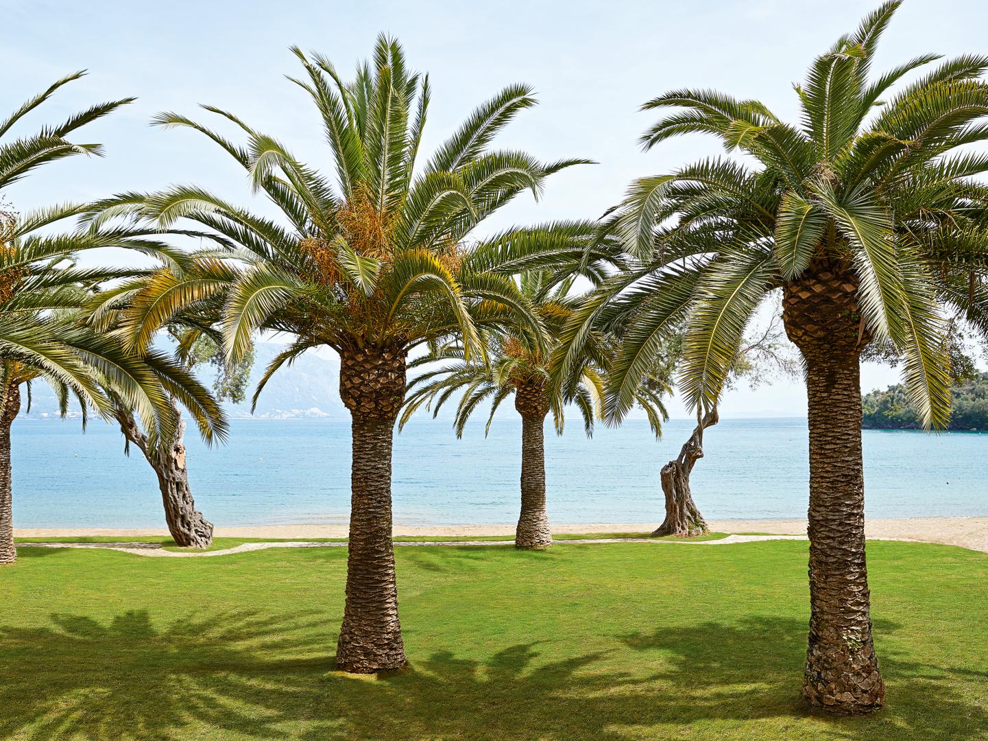 Grecotel LUXME Daphnila Bay foto 18