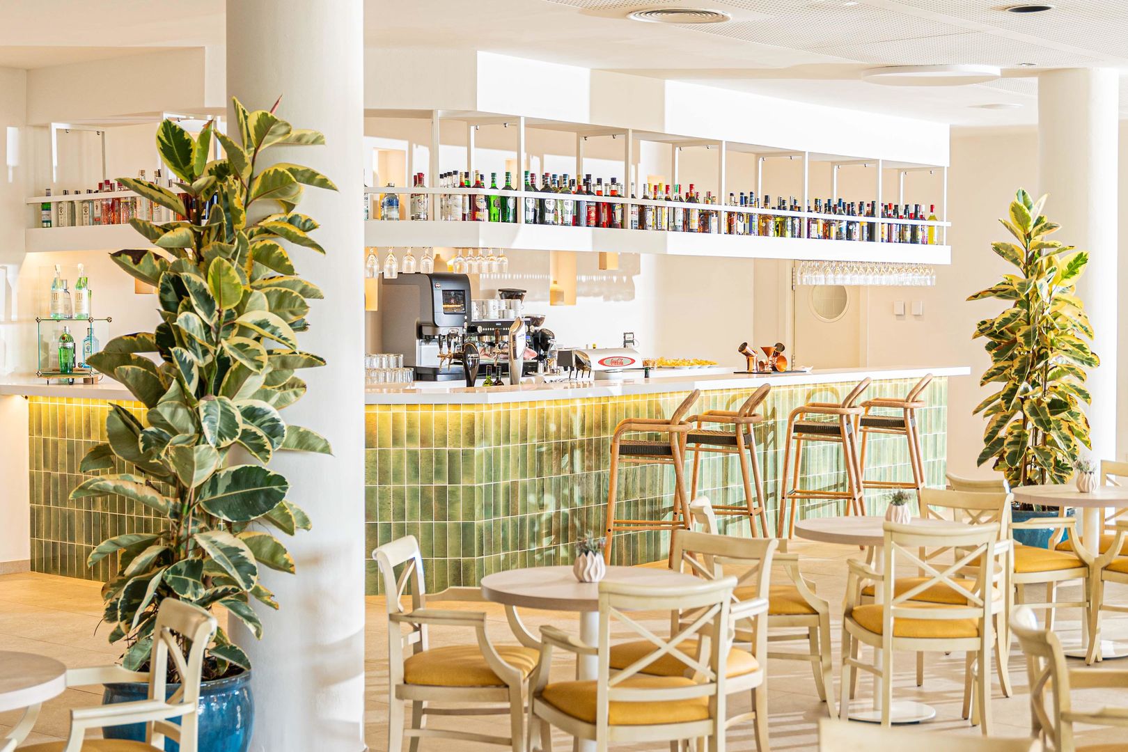 Iberostar Waves Gaviotas Park image 3