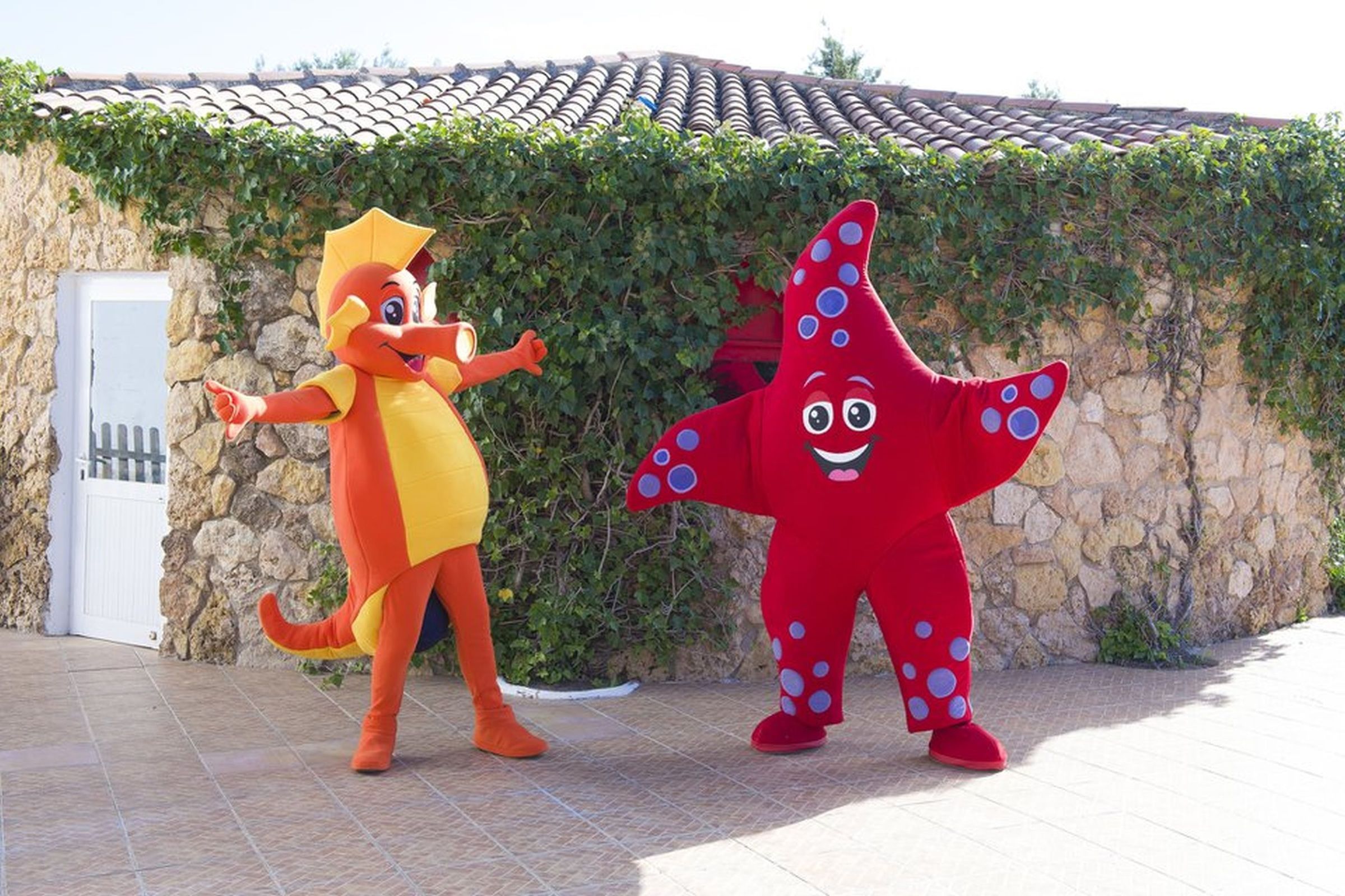 Coral Star Hotel foto 27