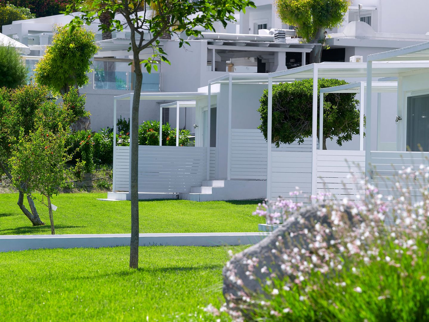 Dimitra Beach Hotel & Suites foto 6