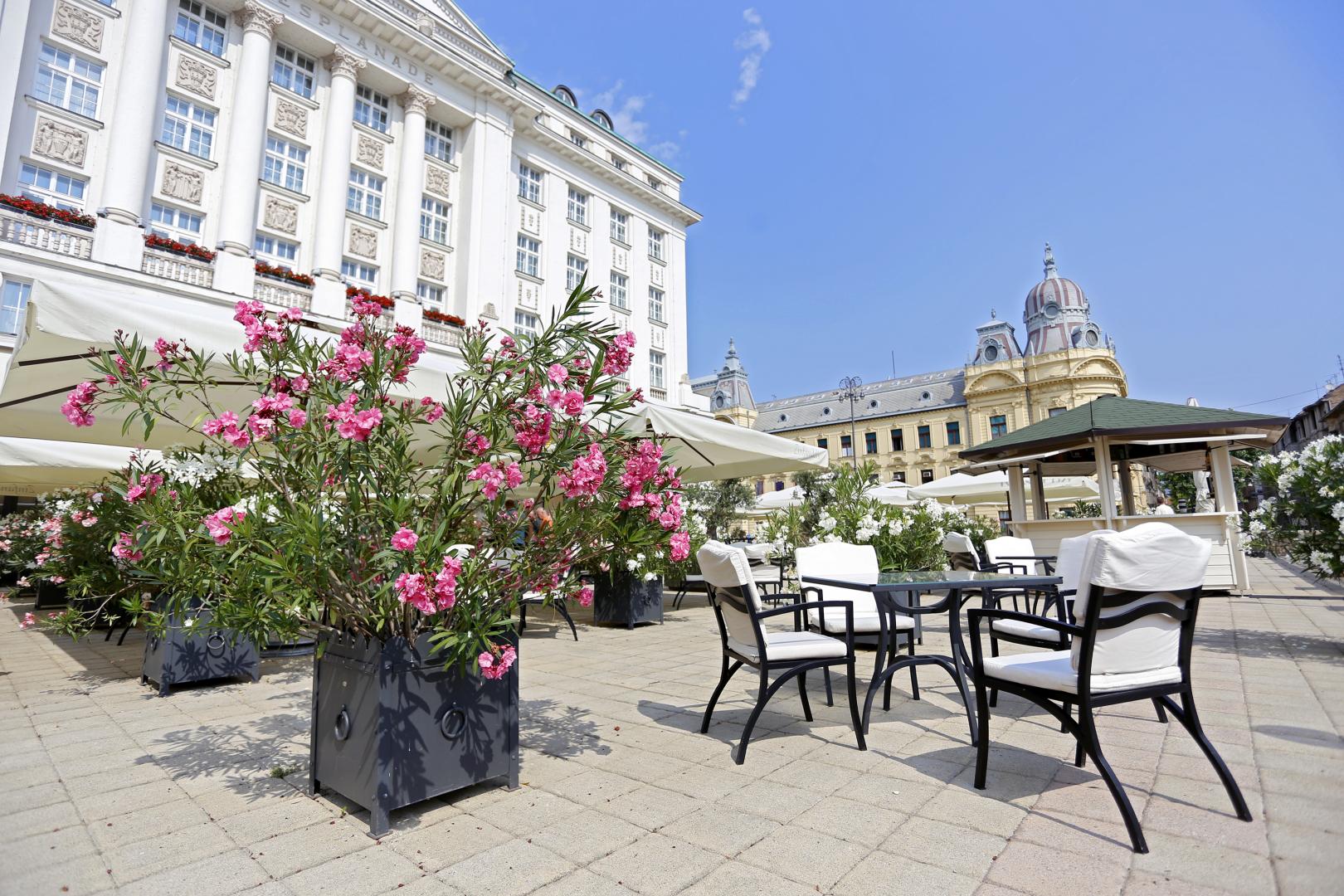 Hotel image 4