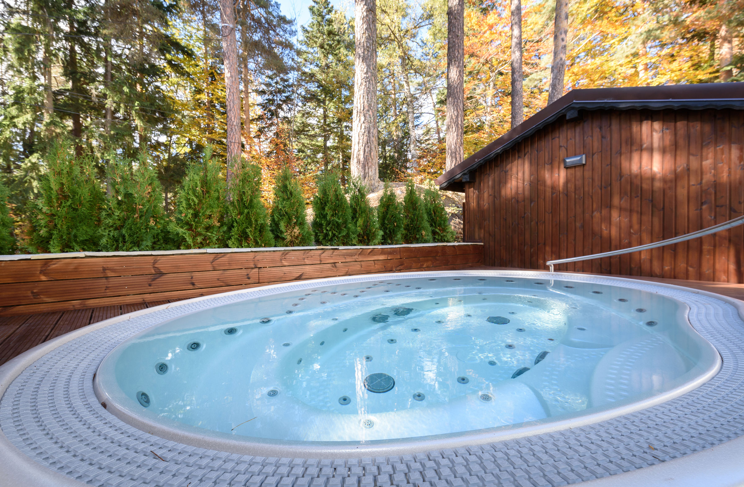 Lion Hotel Borovets foto 63
