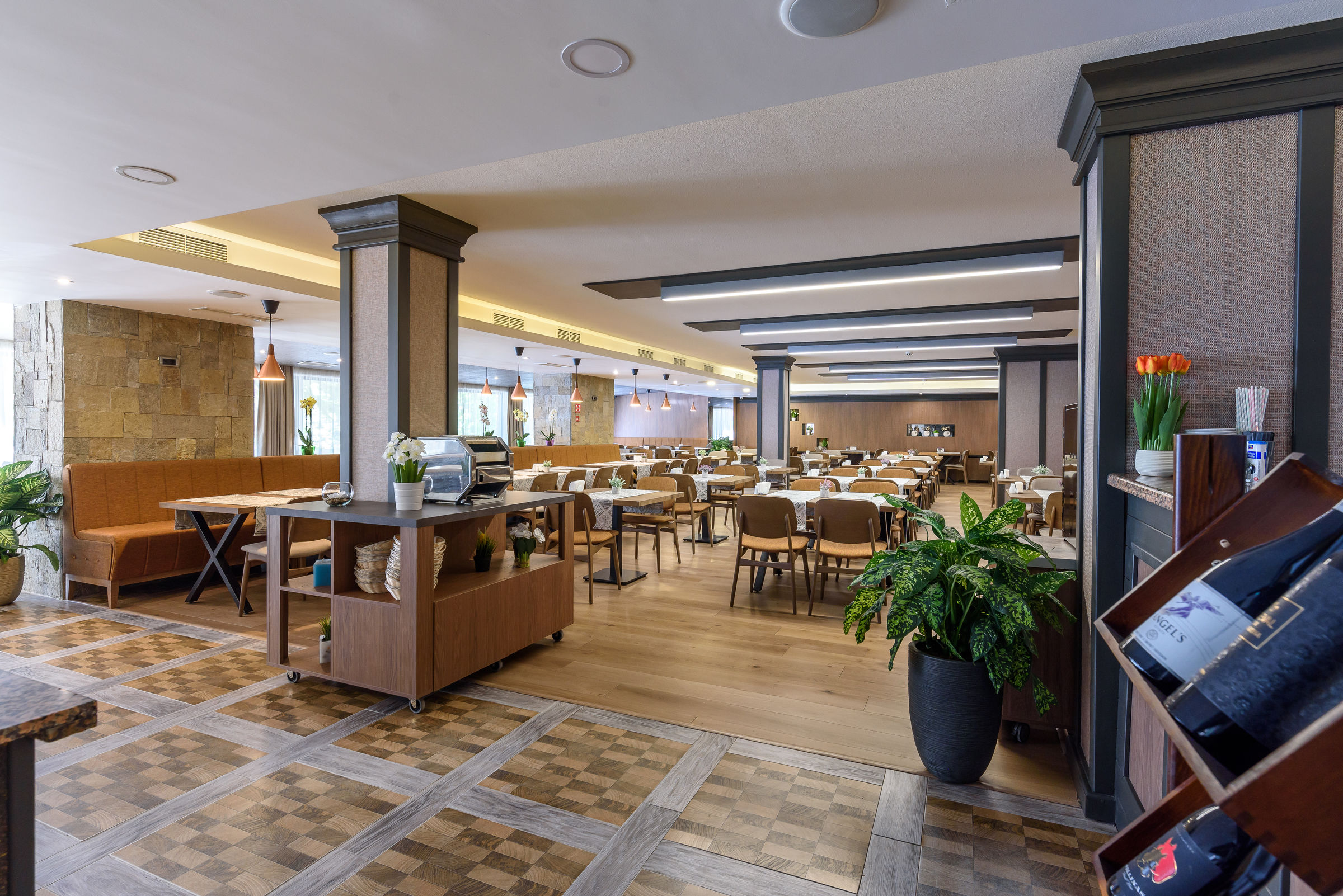 Lion Hotel Borovets foto 48