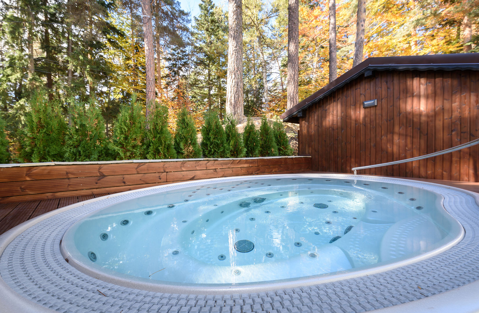 Lion Hotel Borovets foto 62