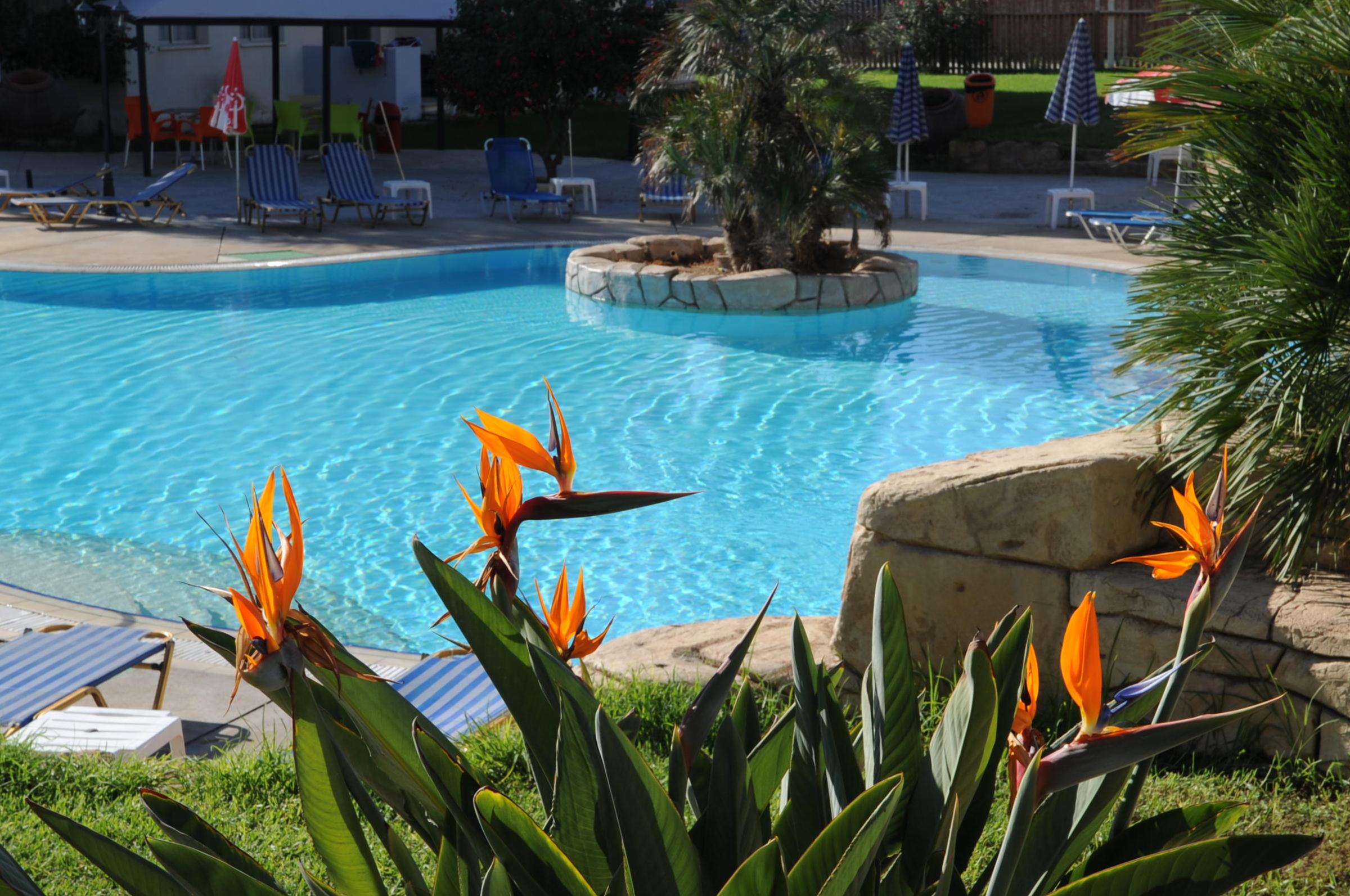 Mayfair Gardens image 2