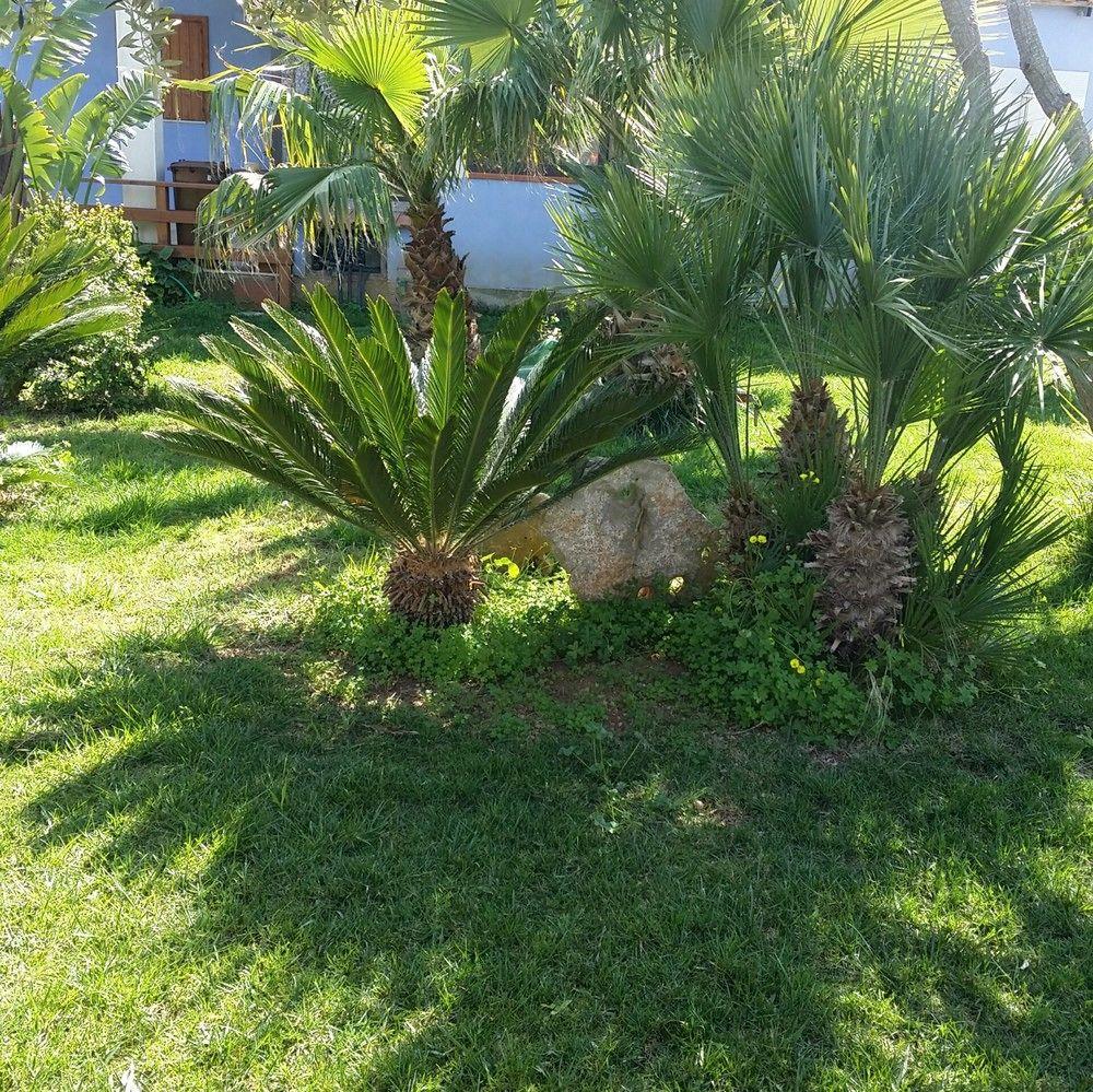 Villa Francesco Bed & Breakfast foto 7