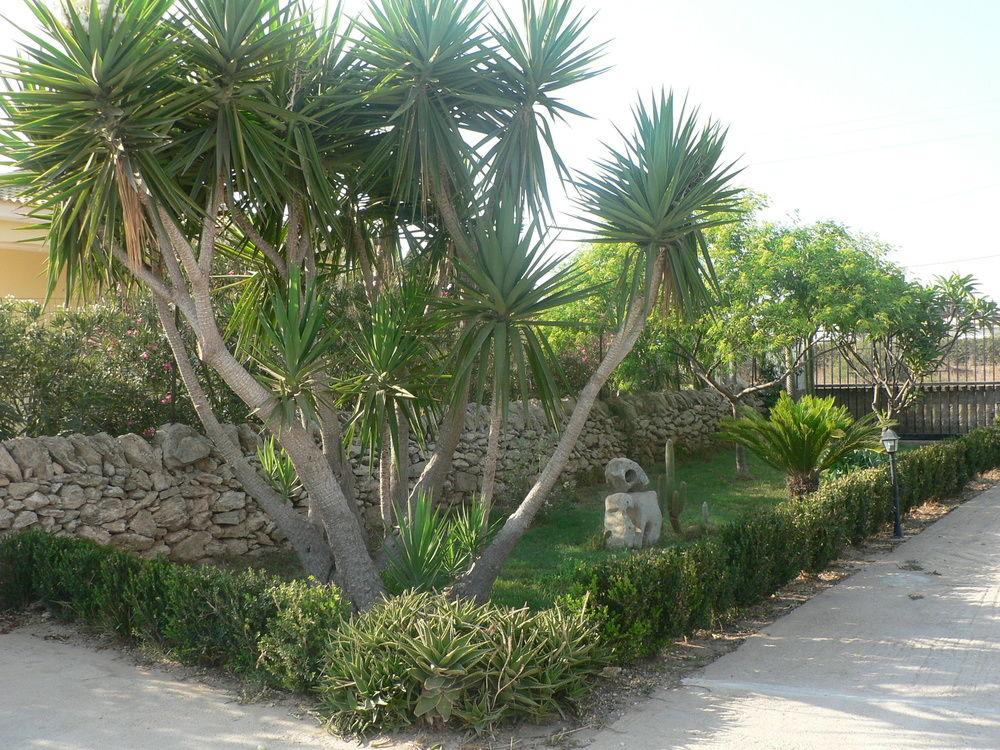 Villa Francesco Bed & Breakfast foto 8