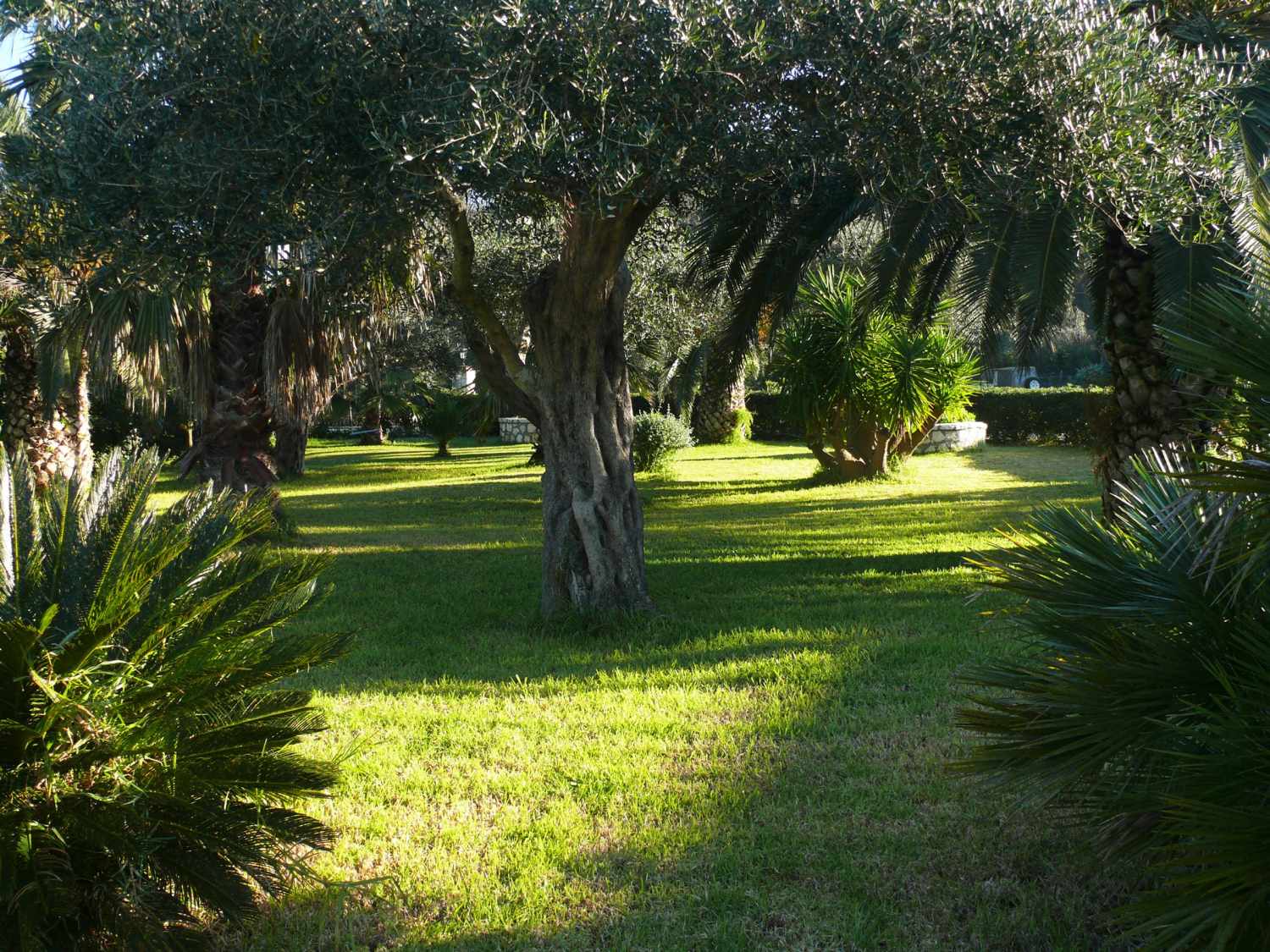 Nefeli Hotel foto 9