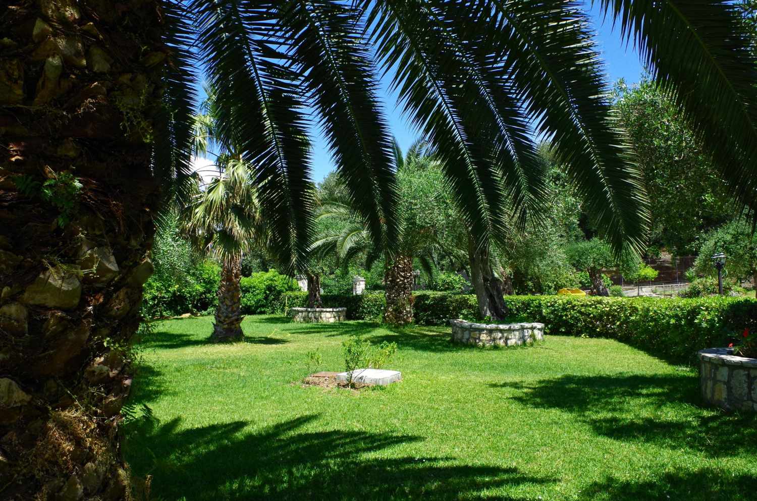Nefeli Hotel foto 12