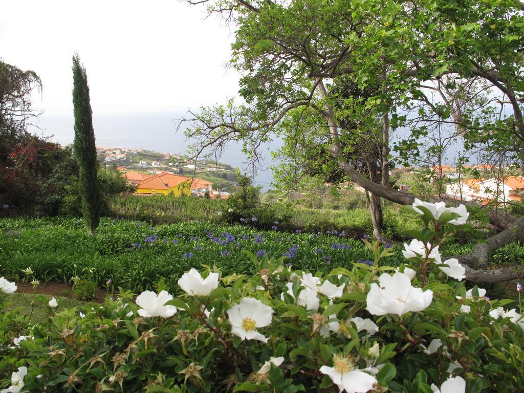 Quinta das Vinhas foto 12