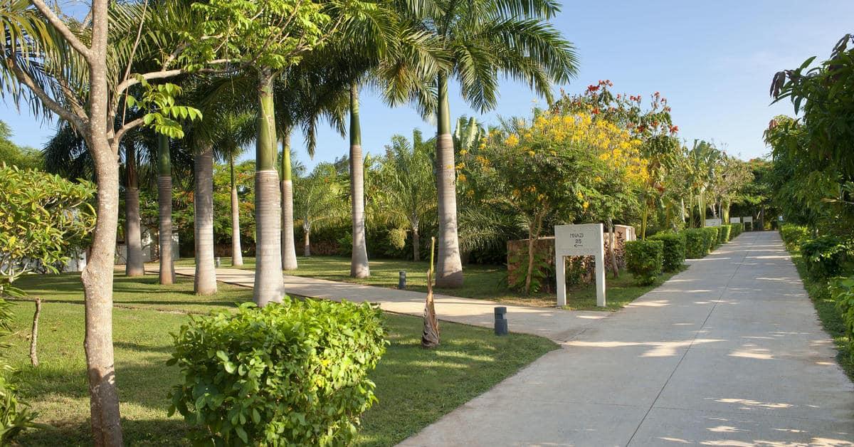 Meliá Zanzibar foto 31