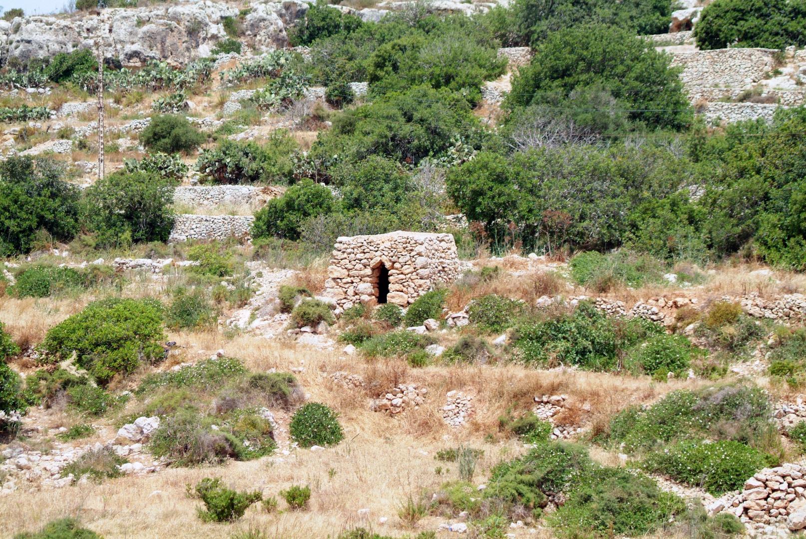 Xemxija Bay Hotel image 3