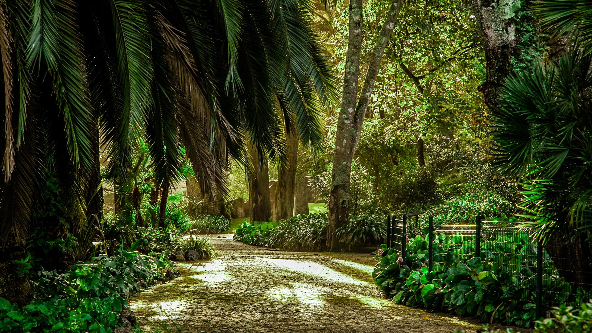 Sintra Marmoris Palace foto 19