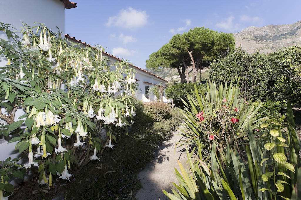 Park Hotel Terme Mediterraneo foto 7