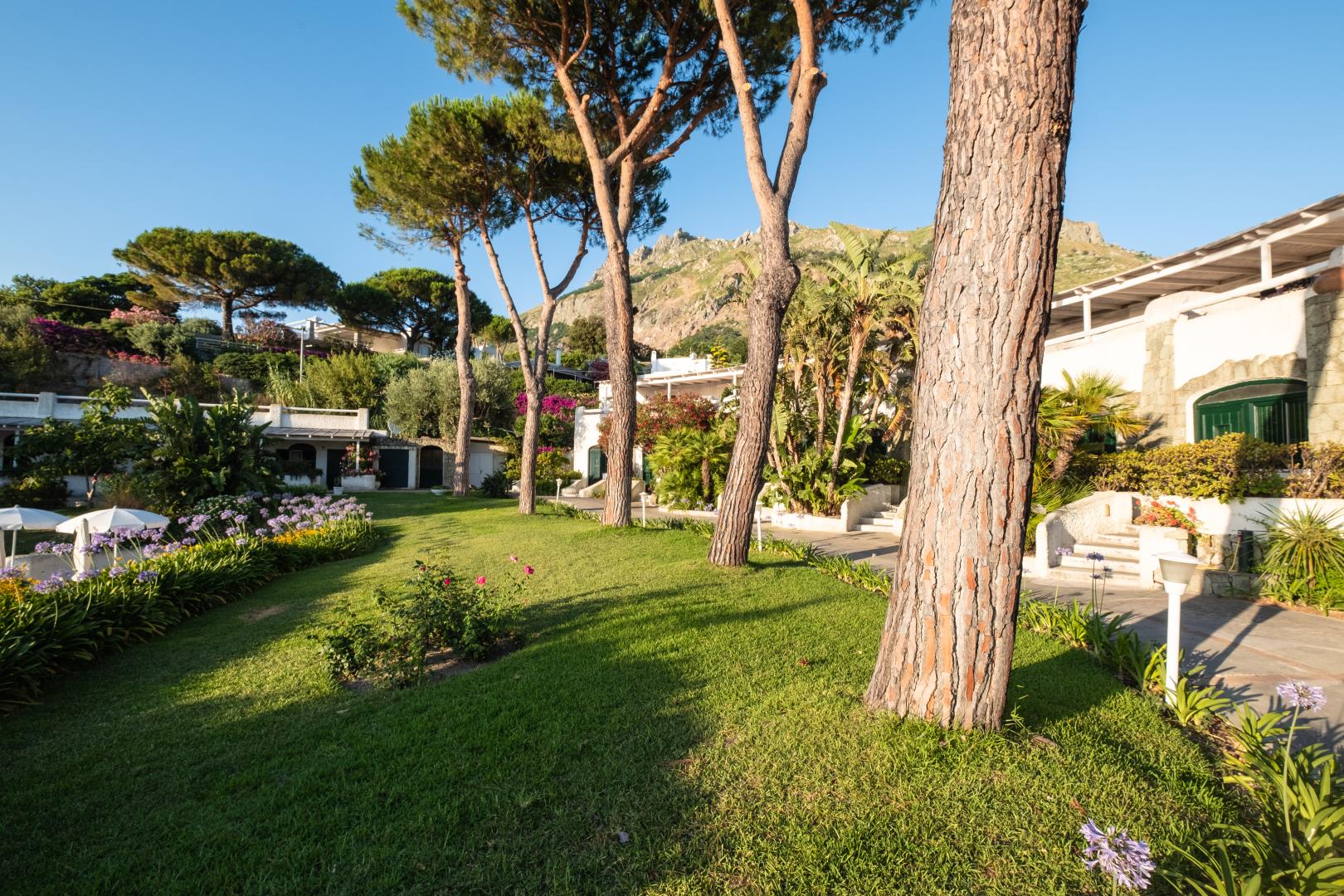 Paradiso Terme Resort & Spa foto 35
