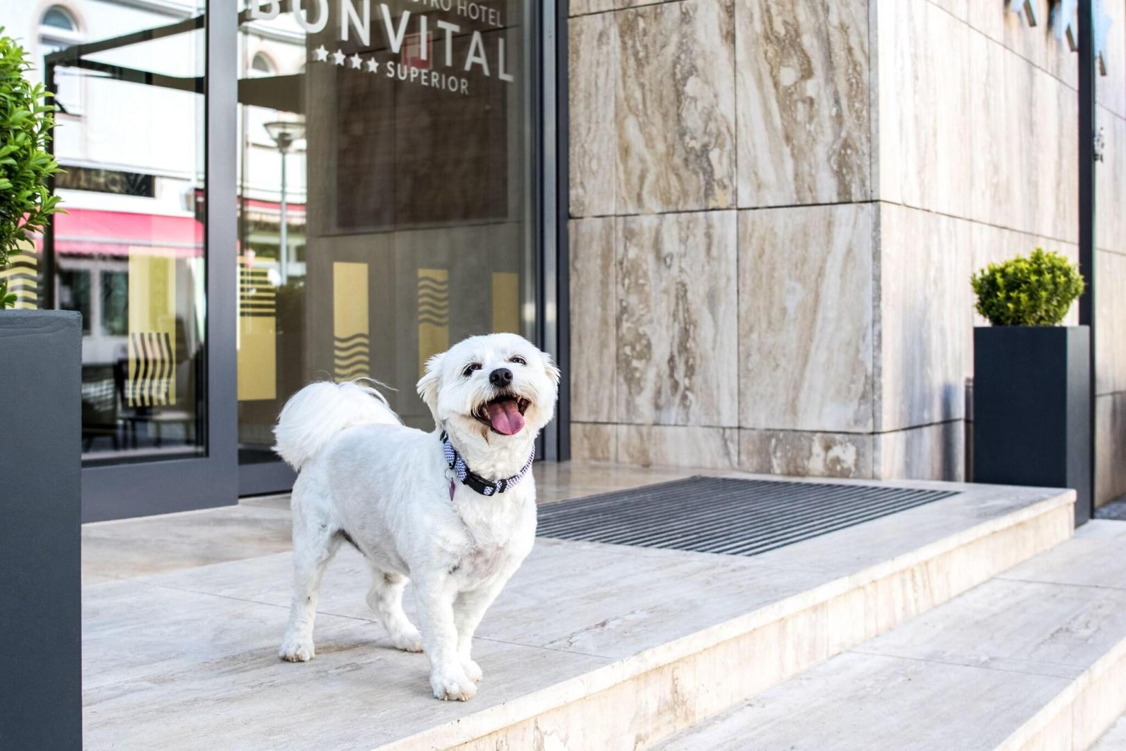 Bonvital Wellness And Gastro Hotel foto 45