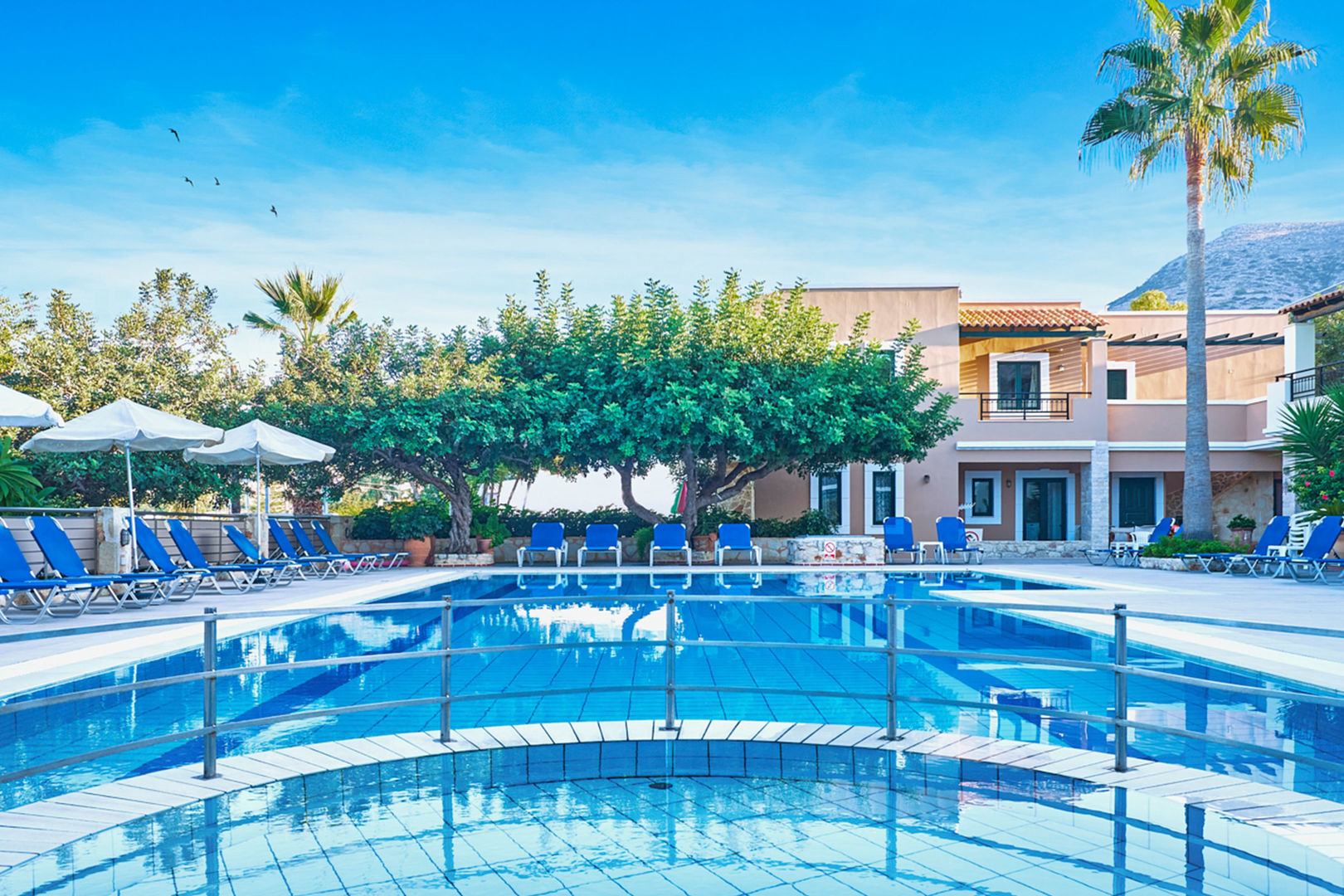 Dionysos Hotel Apartments & Studios foto 9