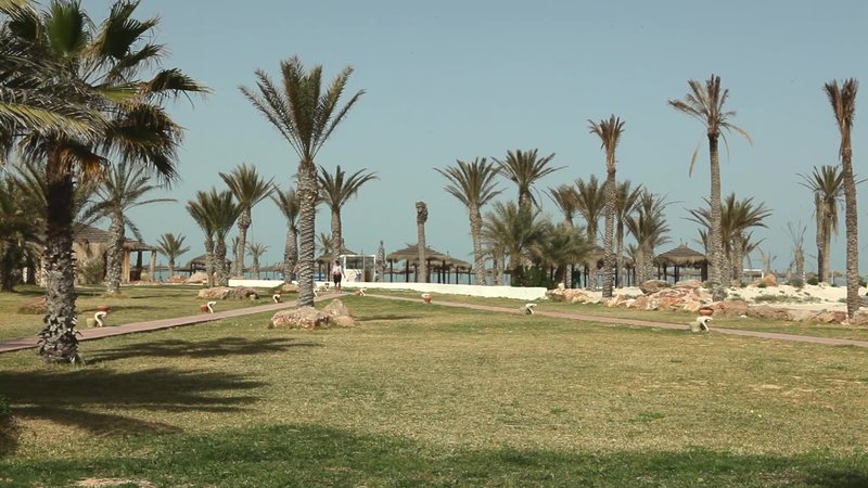 Welcome Meridiana Djerba foto 31