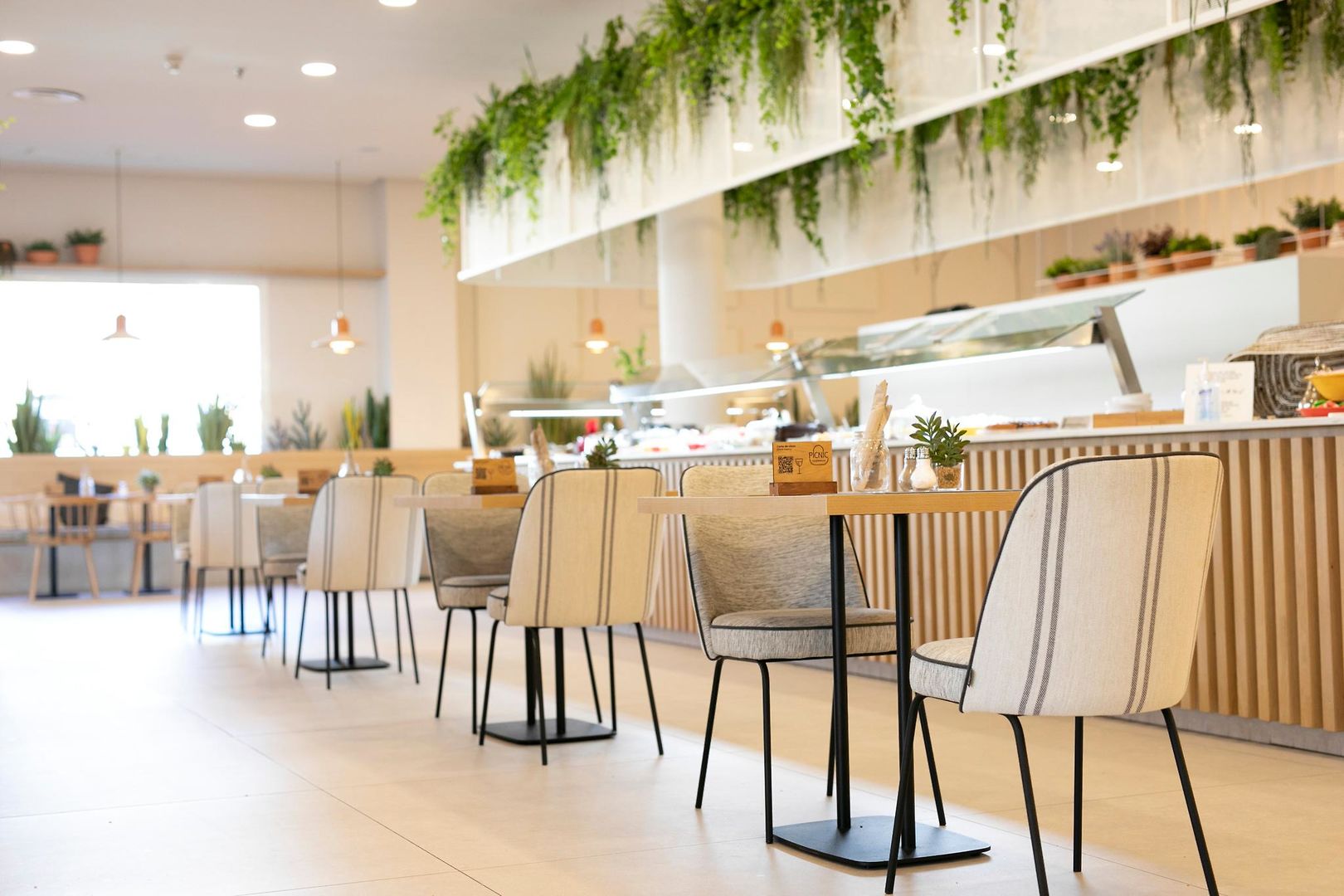 HD Parque Cristóbal Gran Canaria image 1