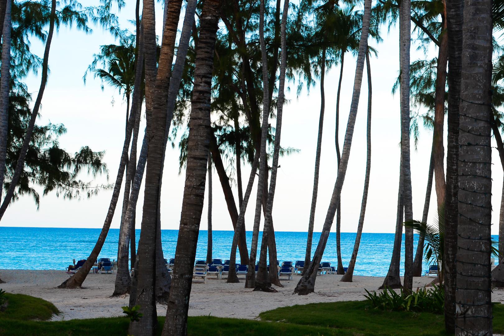 Vista Sol Punta Cana Beach Resort & Spa foto 20
