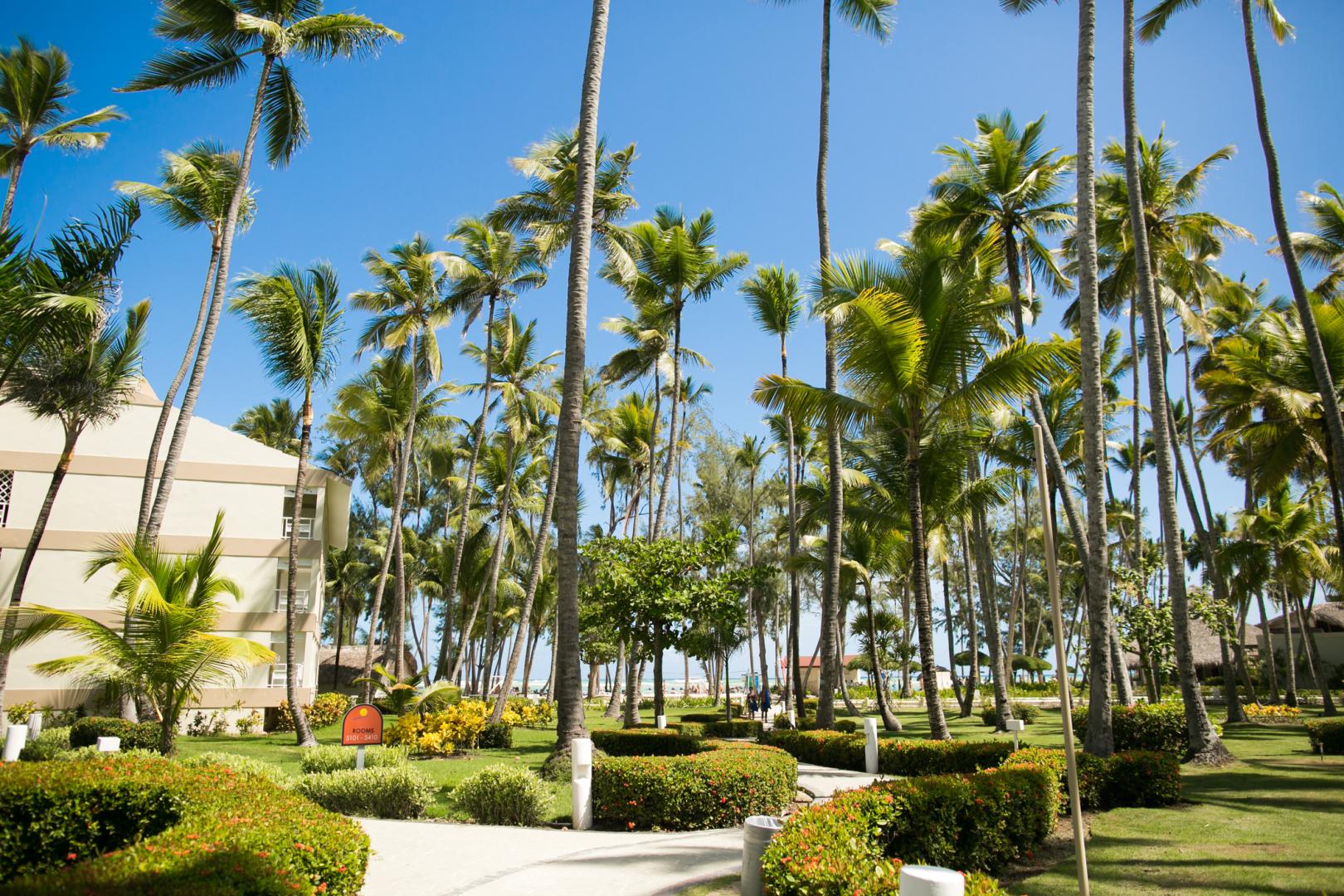 Vista Sol Punta Cana Beach Resort & Spa foto 47