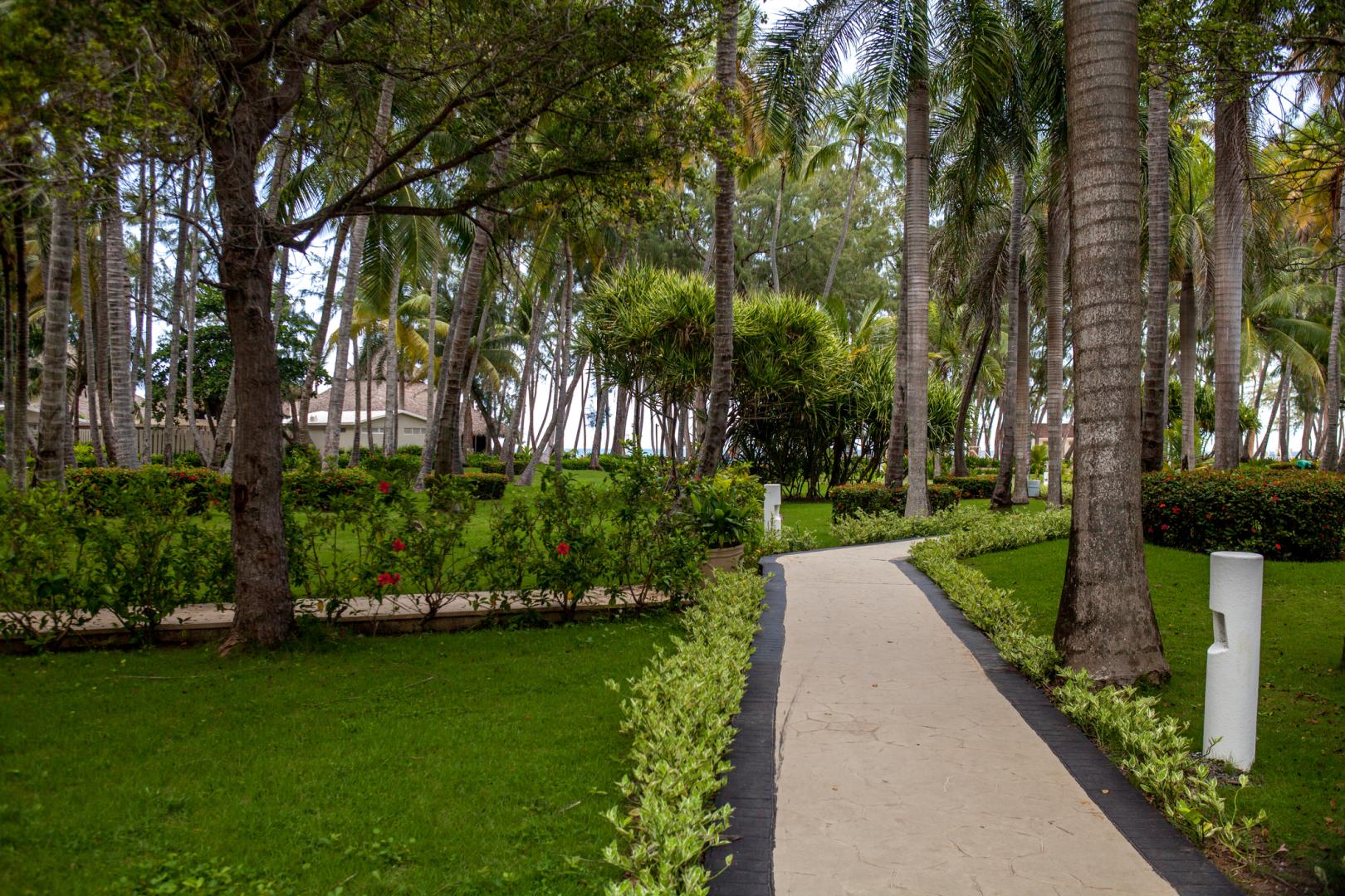 Vista Sol Punta Cana Beach Resort & Spa foto 21